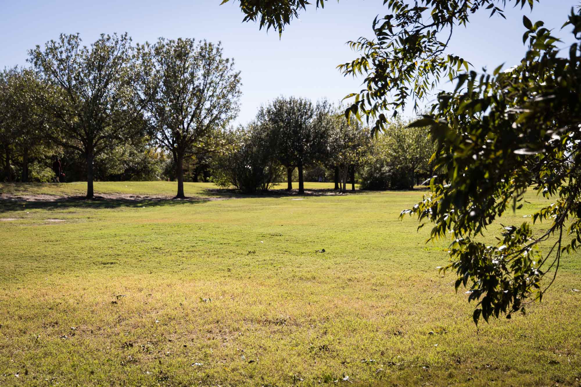 Grassy plain surrounded by trees at Mueller Lake Park