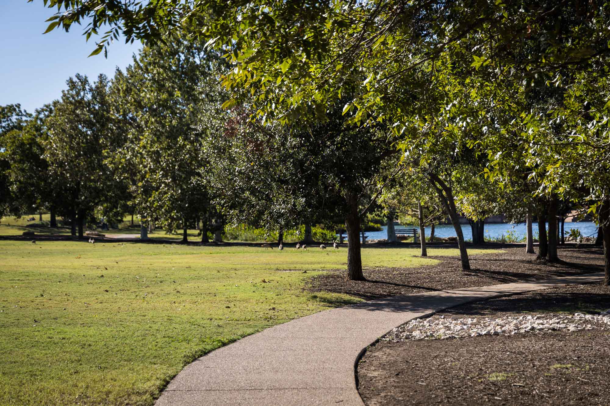 Concrete pathway leading to trees at Mueller Lake Park