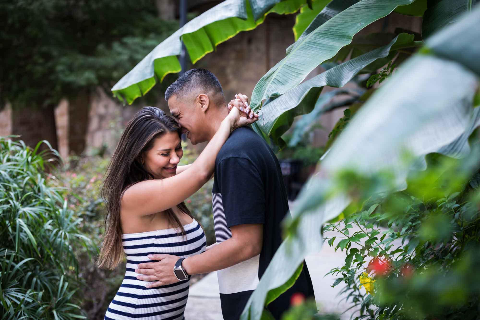 Couple hugging with woman's arms around man's neck as seen behind banana tree leaves for an article entitled, ‘When Should I Book My Wedding Photographer?’