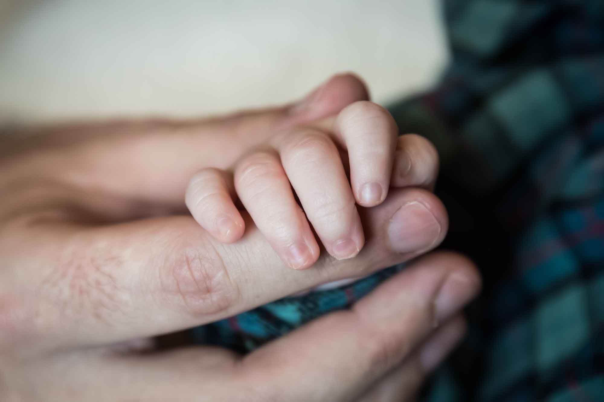 Close up of father's hand holding newborn's hand