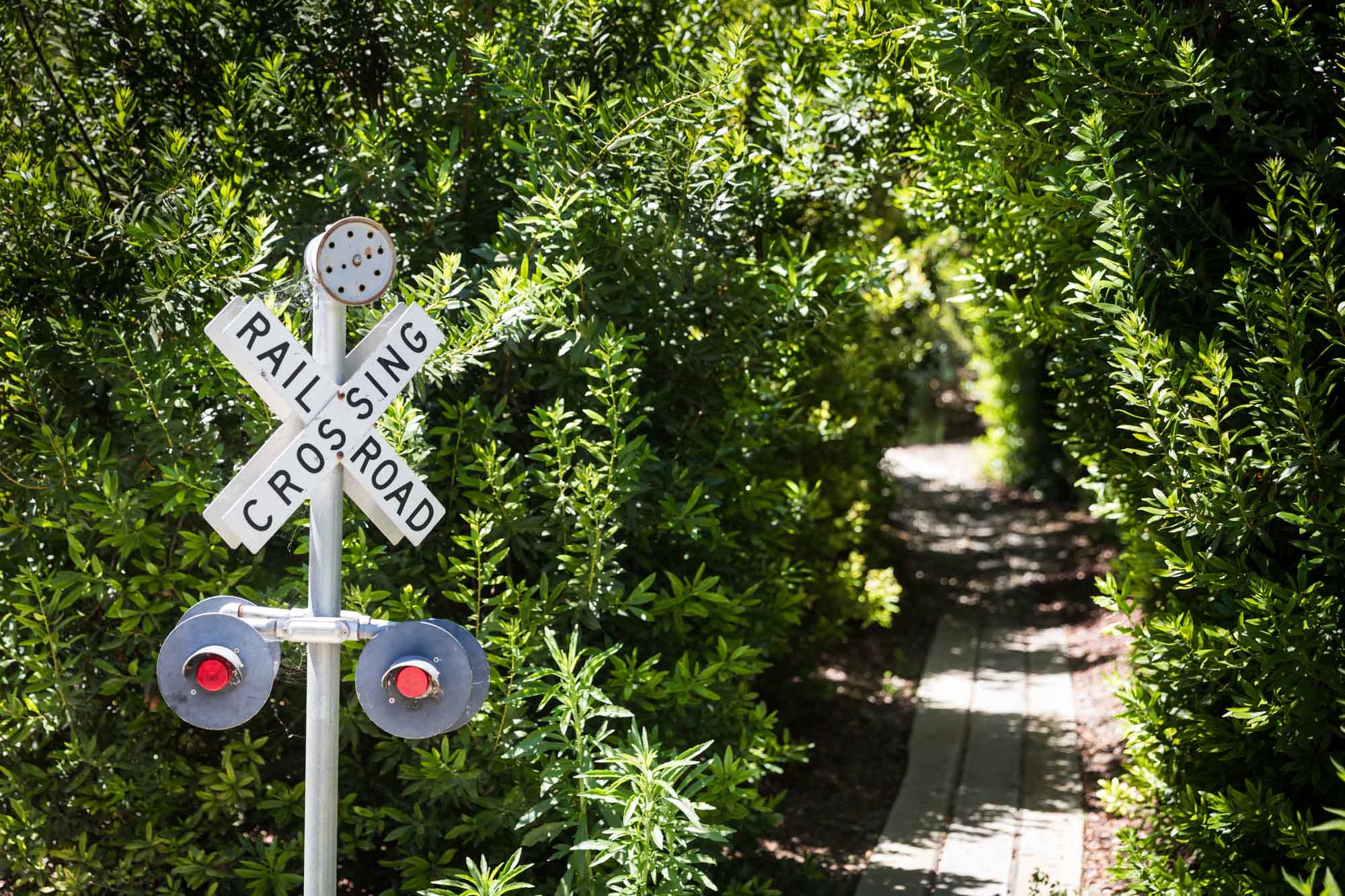 Black and white railroad crossing sign in front of green bushes and railroad tracks for an article on the best photo shoot locations in Descanso Gardens