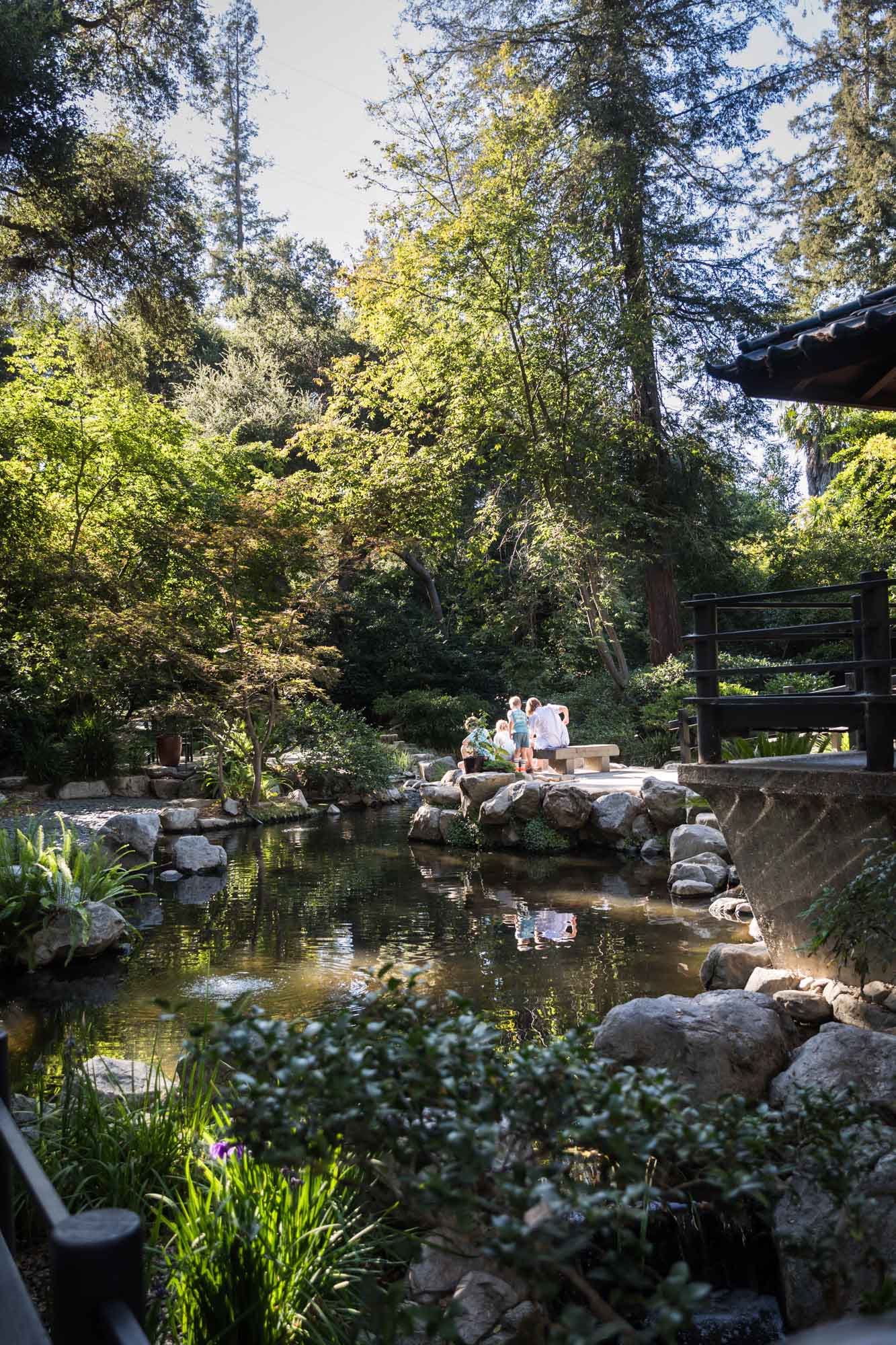 Family looking into pond in the Japanese Garden for an article on the best photo shoot locations in Descanso Gardens