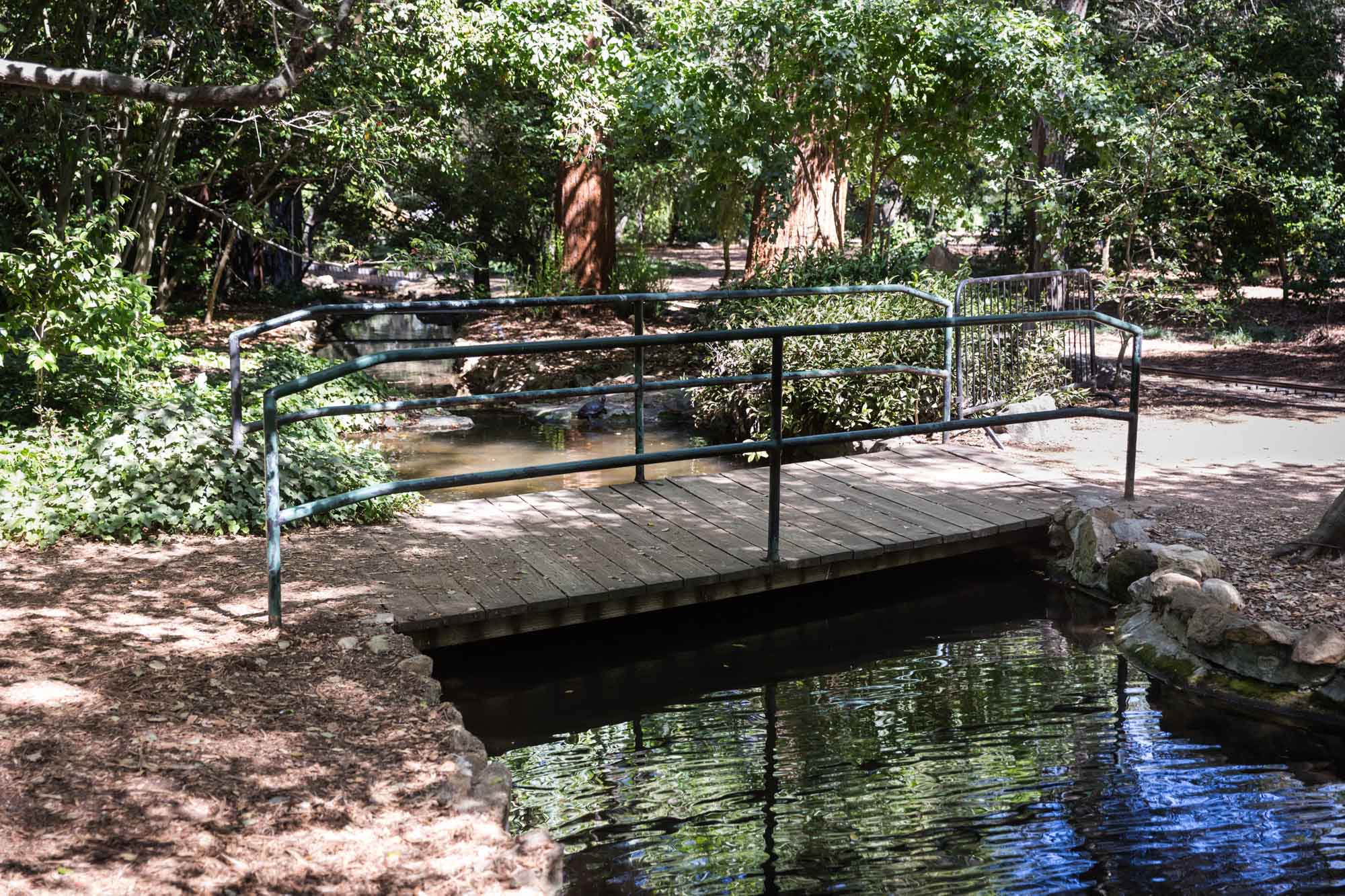 Bridge with metal railing at Mulberry Pond for an article on the best photo shoot locations in Descanso Gardens