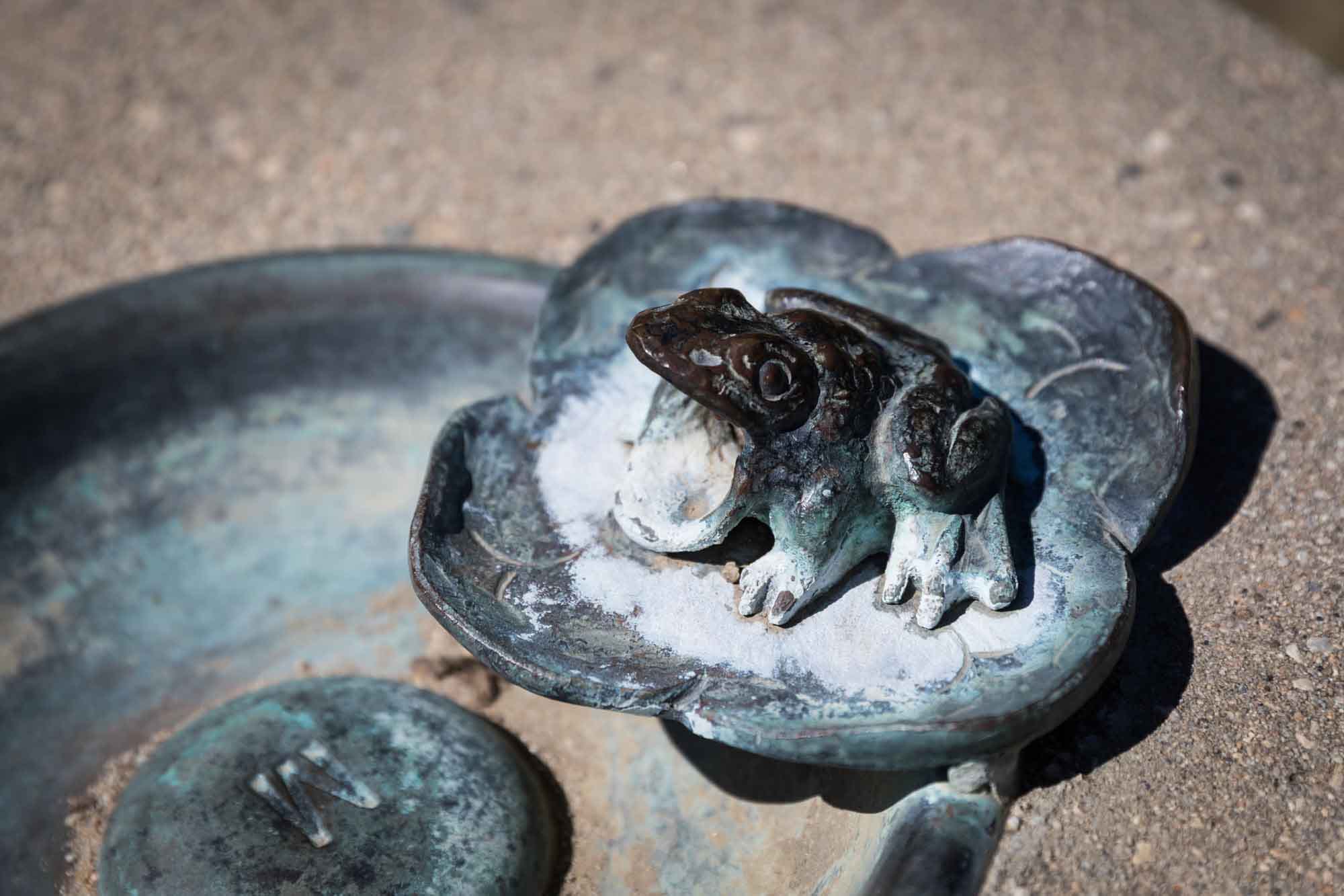 Tiny metal frog sculpture in Rose Garden for an article on the best photo shoot locations in Descanso Gardens