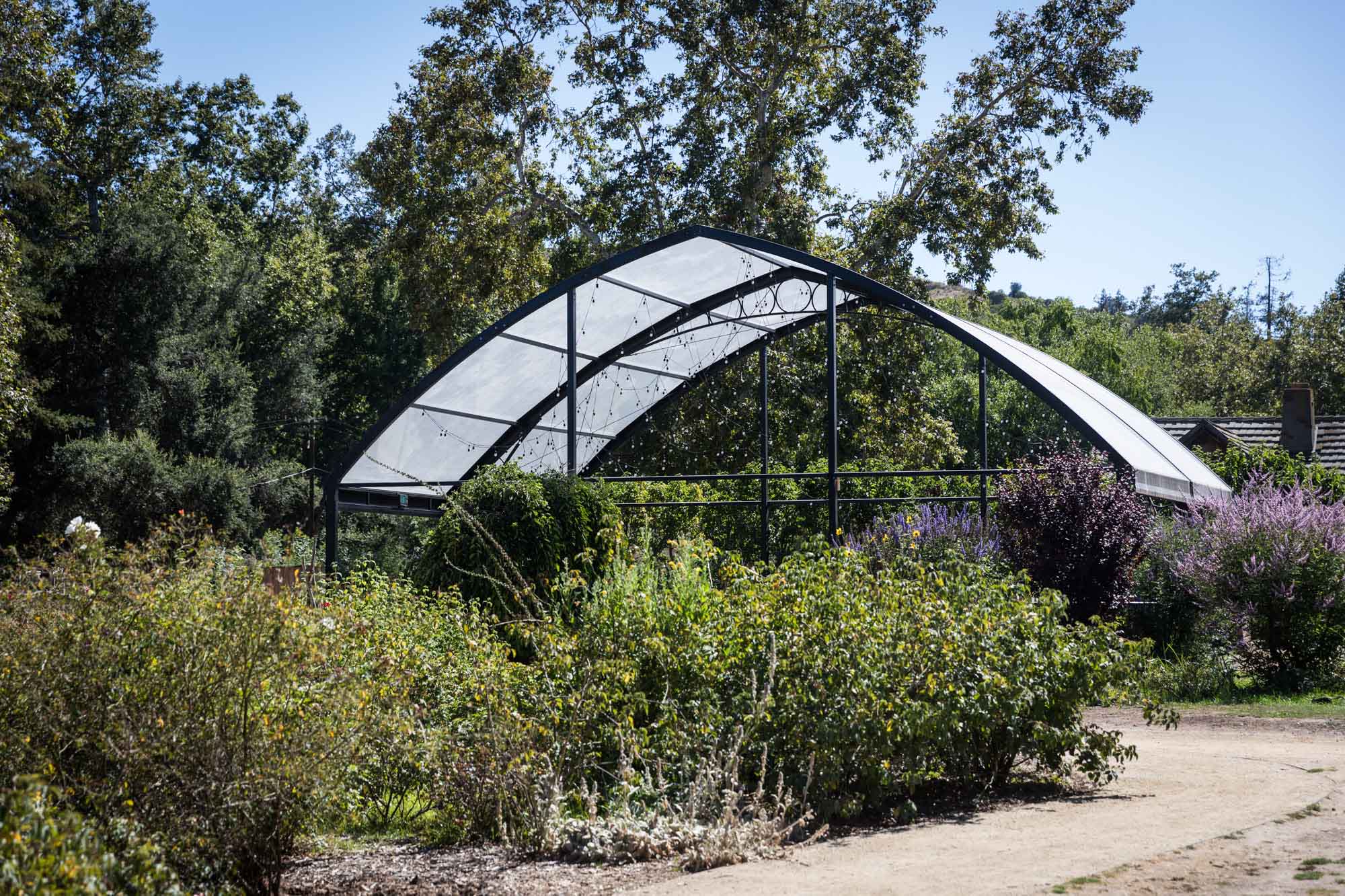 Covered pavilion with strung lights surrounded by flowers in the Rose Garden for an article on the best photo shoot locations in Descanso Gardens