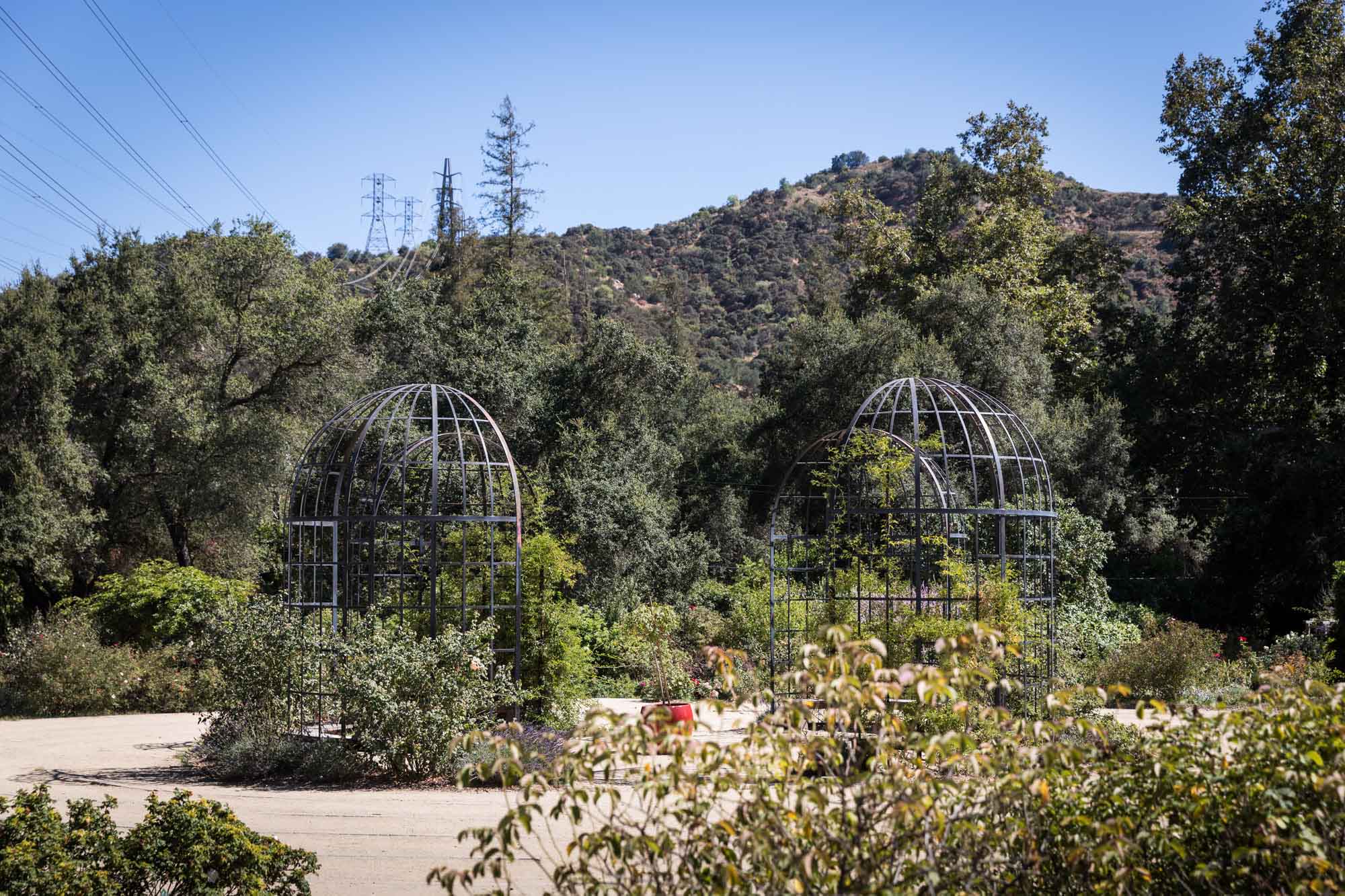 Four metal gazebos found in Rose Labyrinth in Rose Garden for an article on the best photo shoot locations in Descanso Gardens