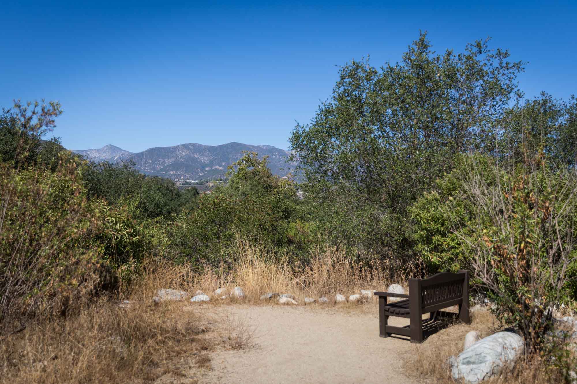 Bench with view of mountains in Oak Woodland for an article on the best photo shoot locations in Descanso Gardens