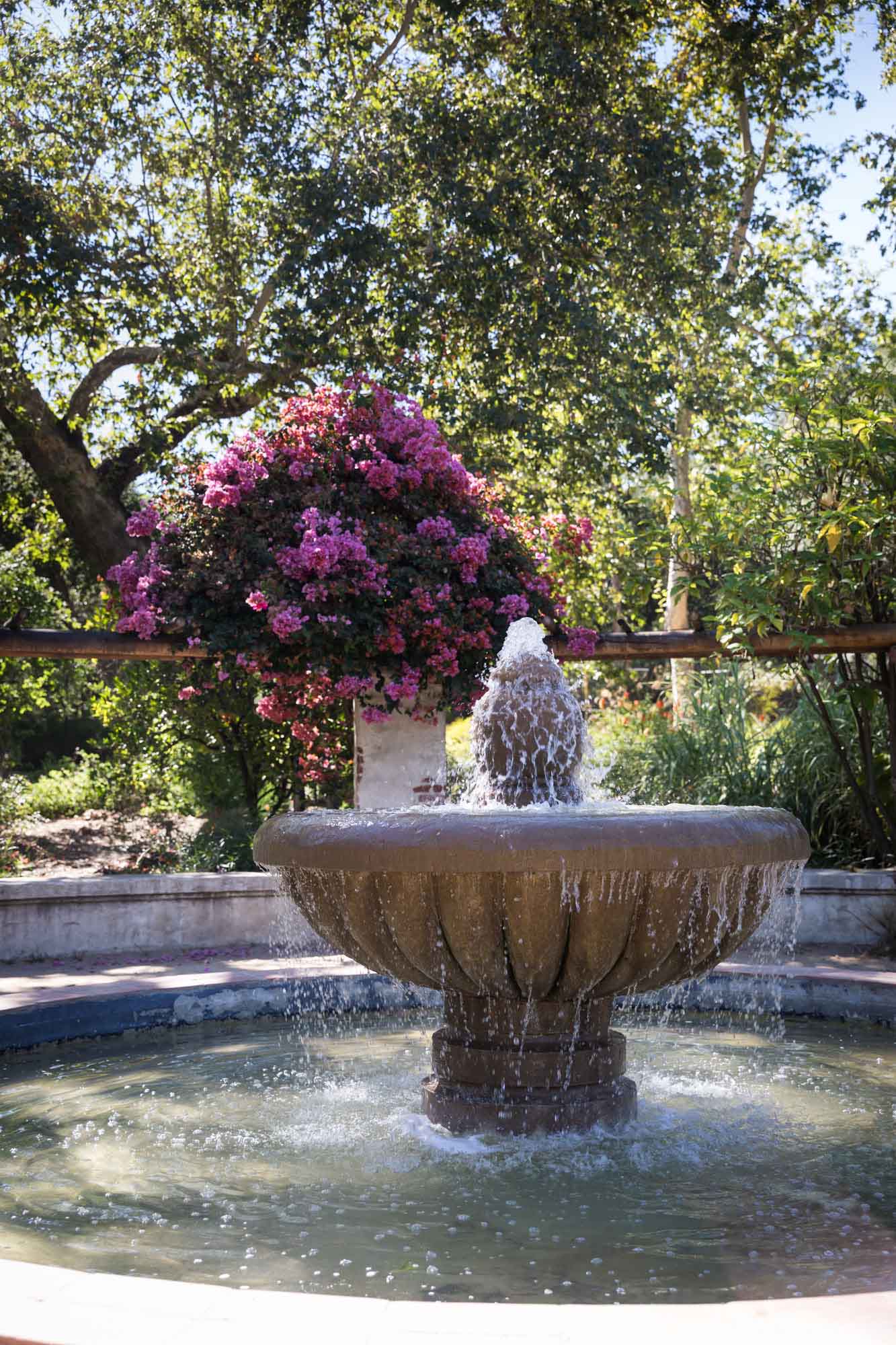 Mission Fountain in Rose Garden for an article on the best photo shoot locations in Descanso Gardens