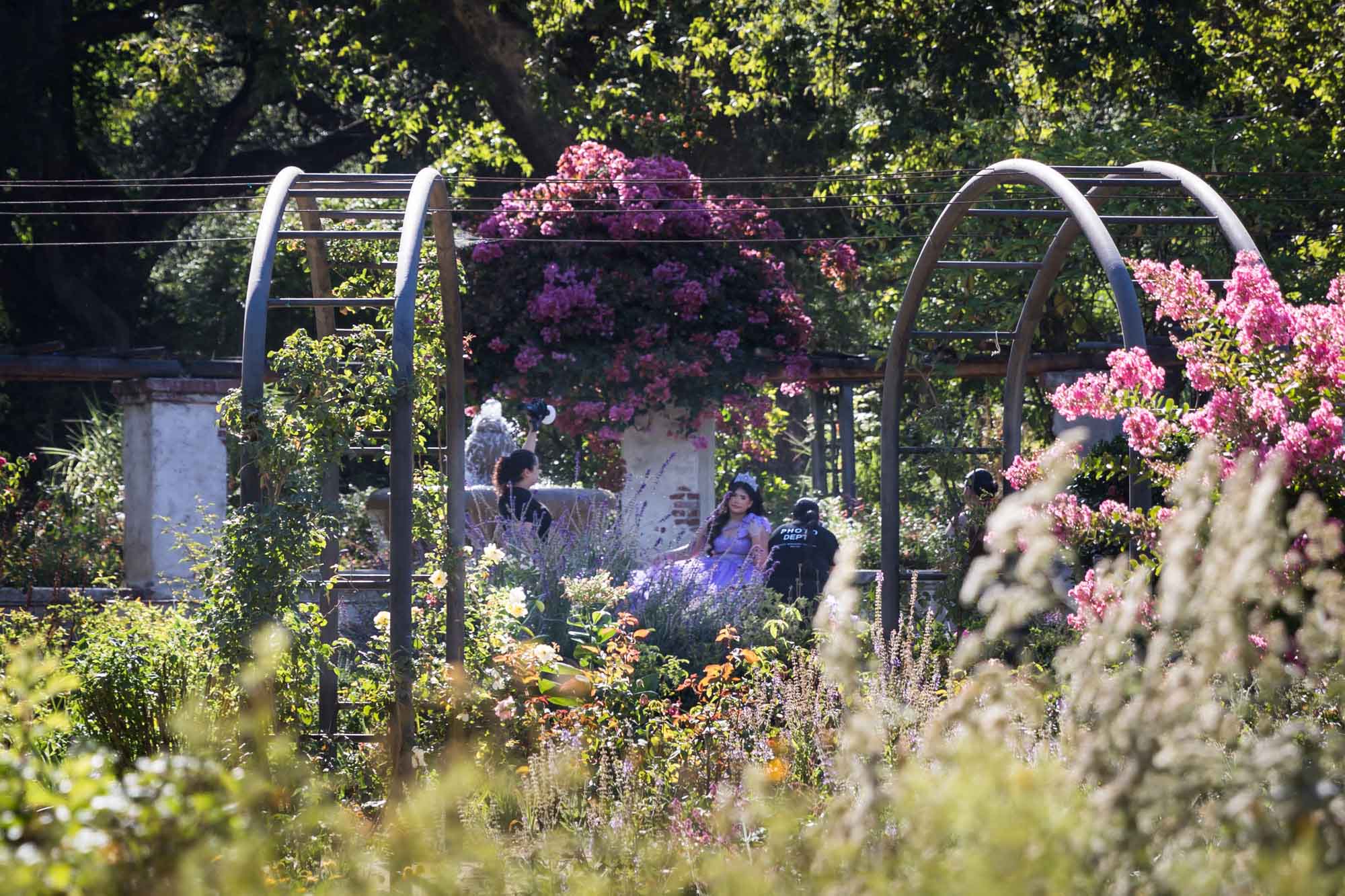 Quinceañera photo shoot in the Rose Garden for an article on the best photo shoot locations in Descanso Gardens