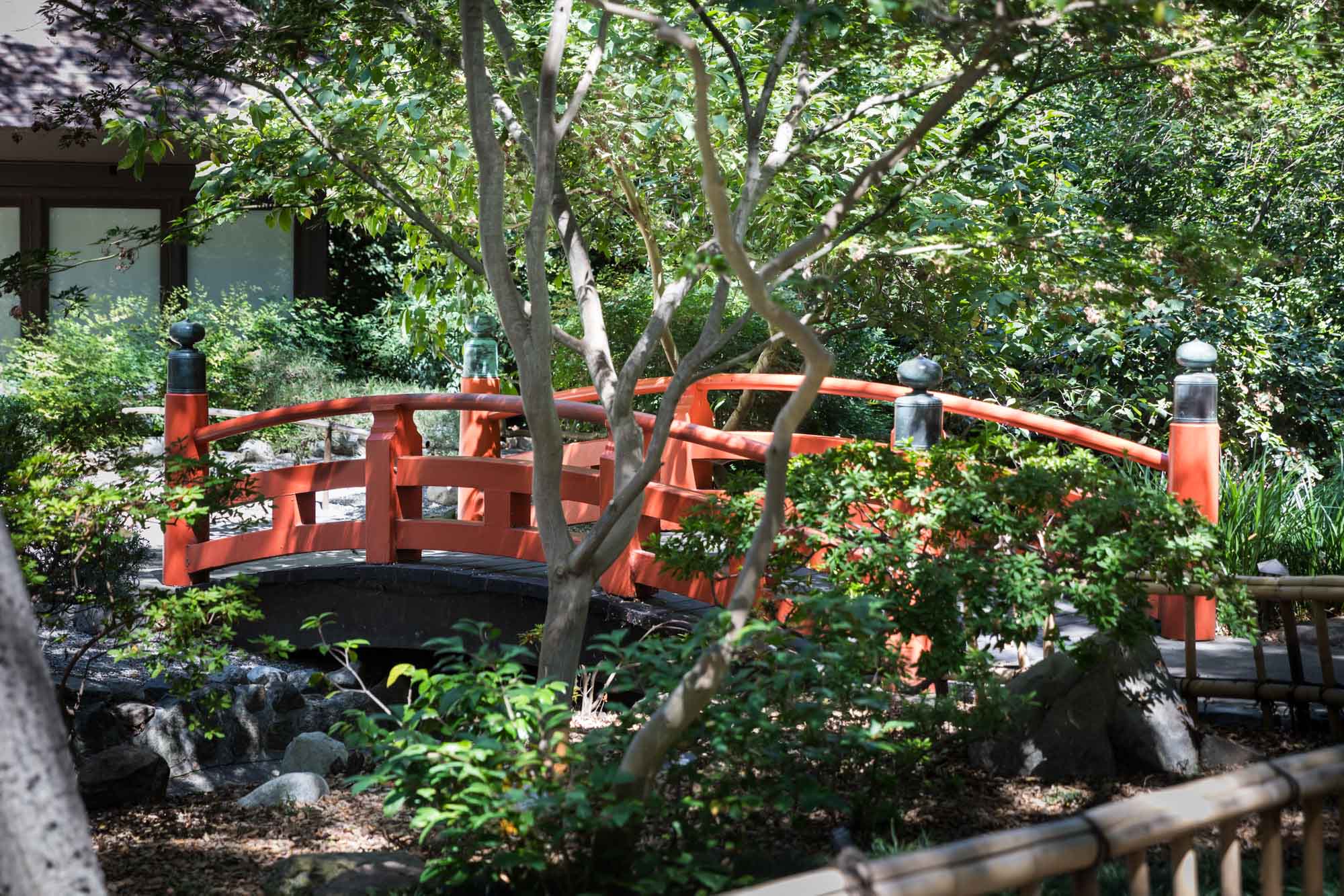 Red curved bridge over creek in Japanese Garden for an article on the best photo shoot locations in Descanso Gardens