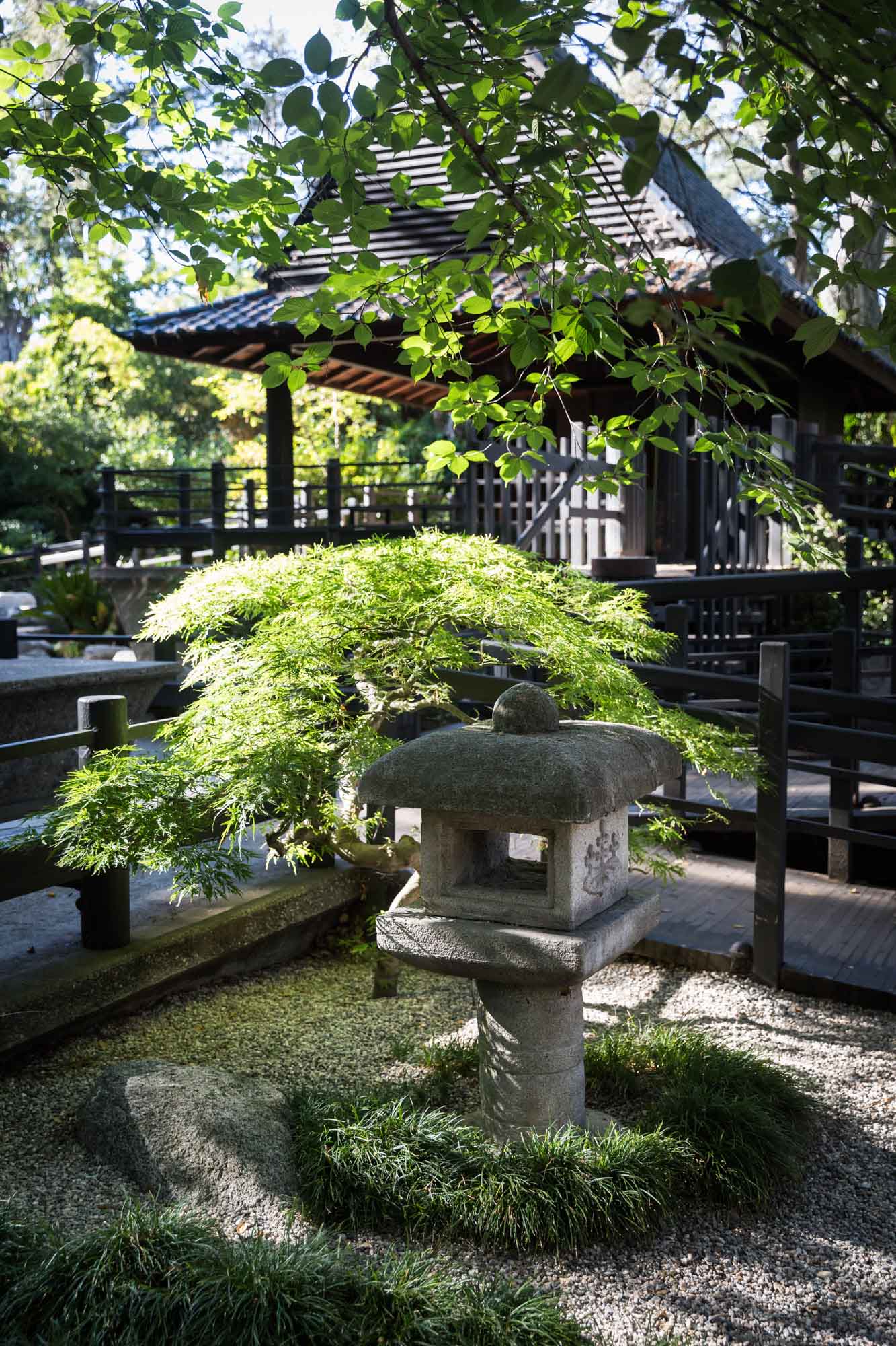 Stone lantern with small tree behind it in front of wooden house in Japanese Garden for an article on the best photo shoot locations in Descanso Gardens