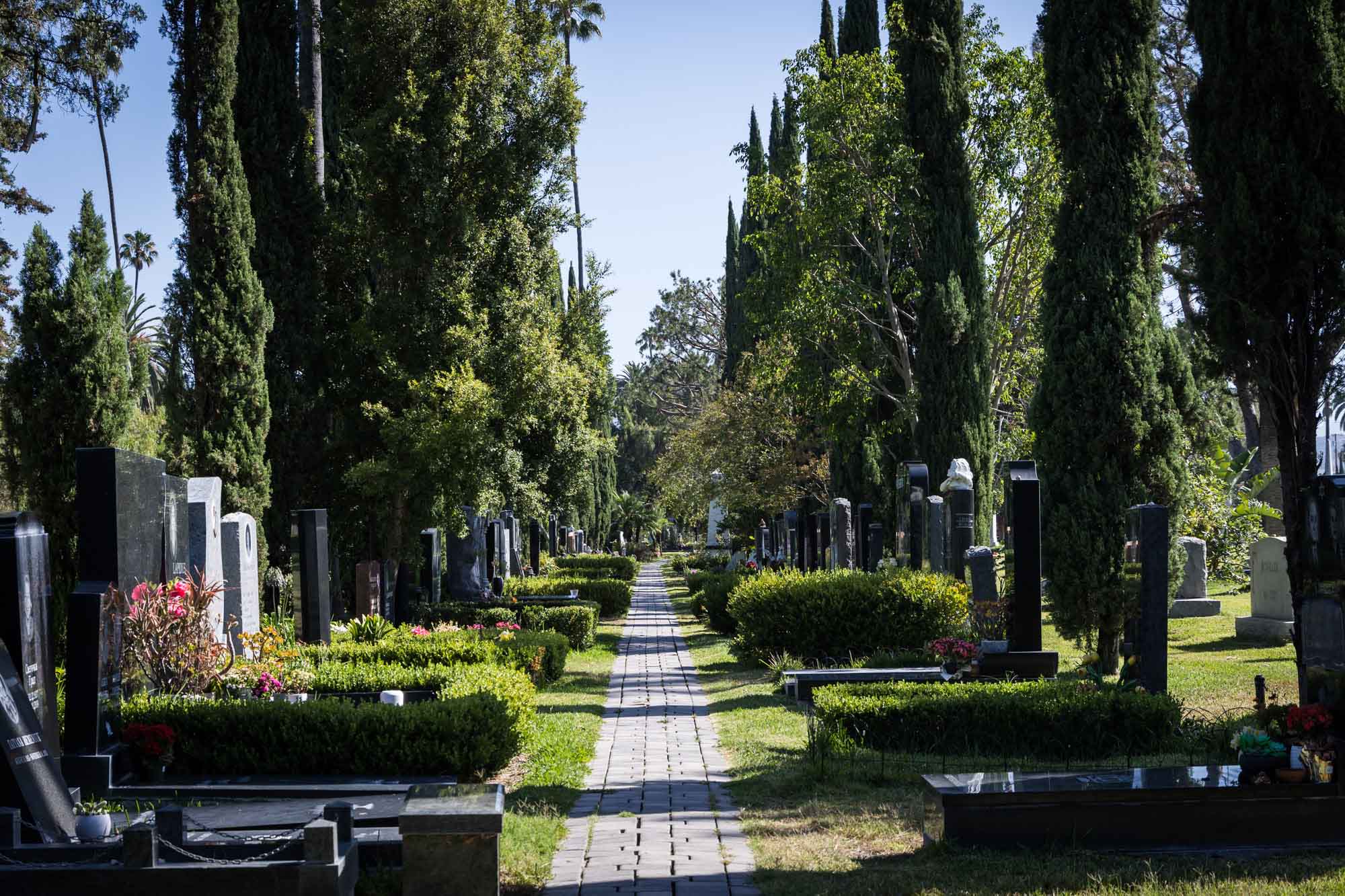 Ancestral Forest walkway at the Hollywood Forever Cemetery