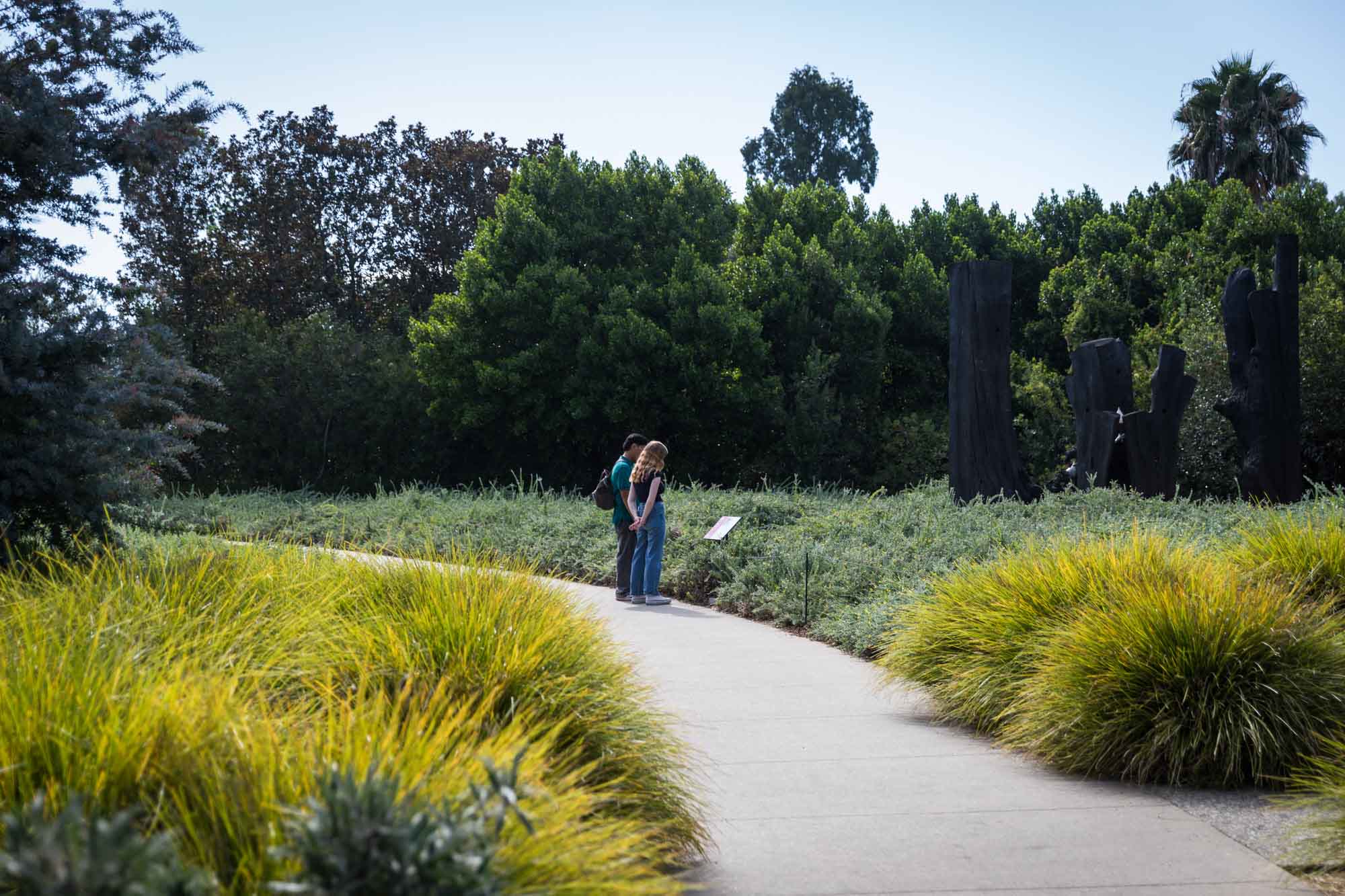 Man and woman reading placard on sidewalk surrounded by plants for a Huntington Gardens photo shoot guide article