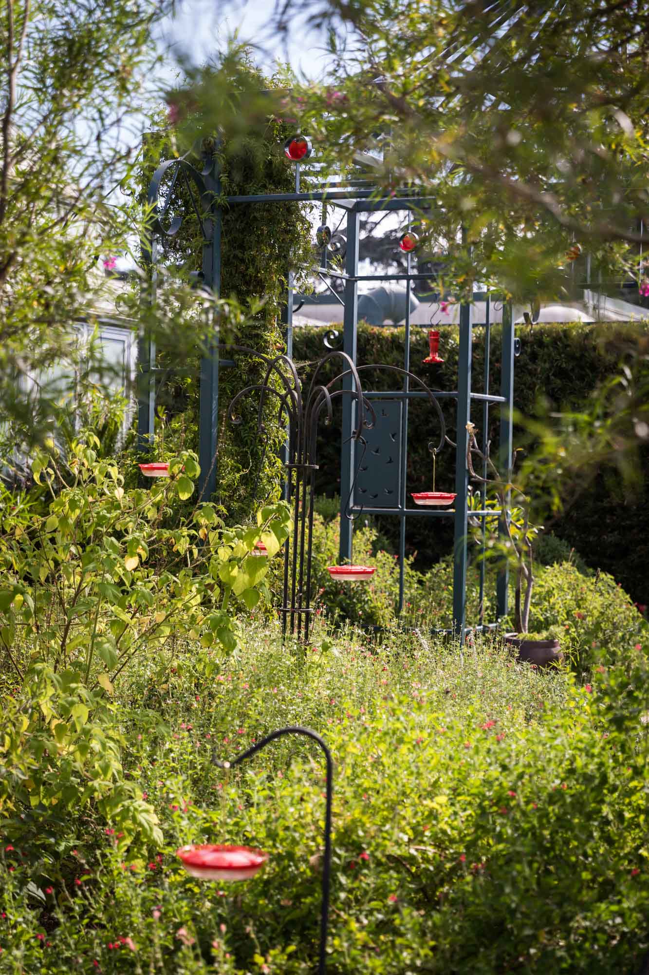 Metal sculpture with bushes and hummingbird feeders in the Children's Garden for a Huntington Gardens photo shoot guide article
