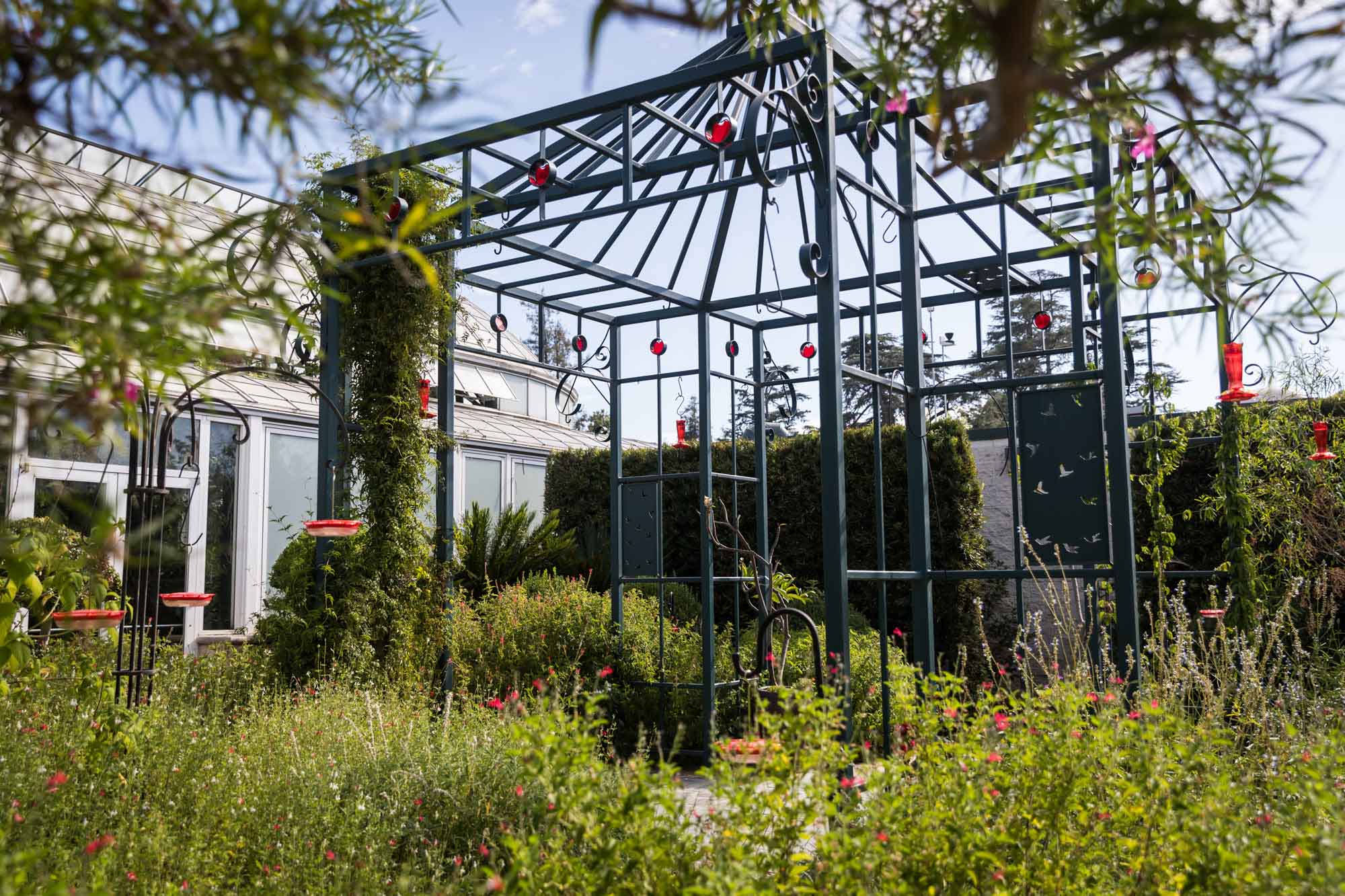 Large metal sculpture with bushes and hummingbird feeders in the Children's Garden for a Huntington Gardens photo shoot guide article