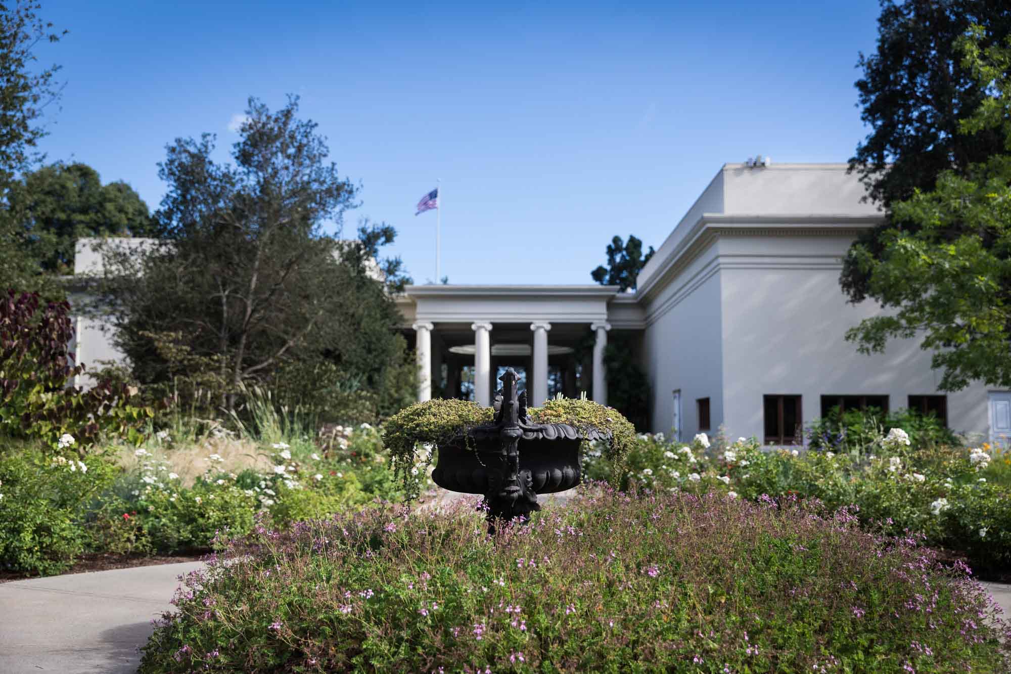 Pathway leading to Scott Galleries of American Art with wildflowers for a Huntington Gardens photo shoot guide articleplanted on die