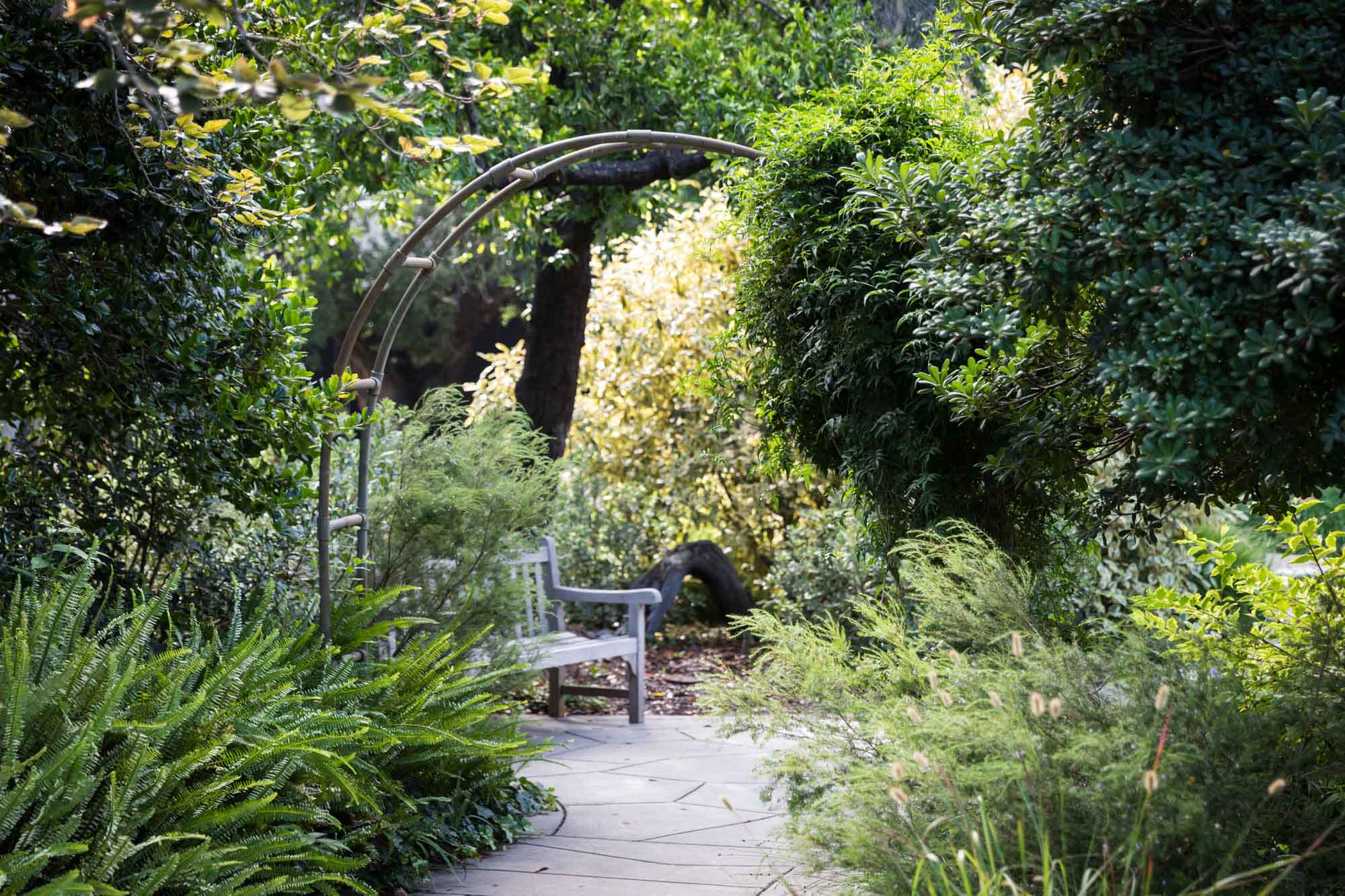 Bench with metal arch and sidewalk surrounded by bushes and trees for a Huntington Gardens photo shoot guide article