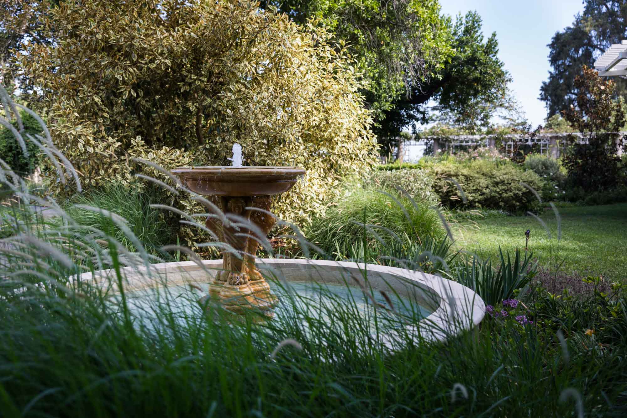 Fountain with water flowing in front of bushes and trees for a Huntington Gardens photo shoot guide article