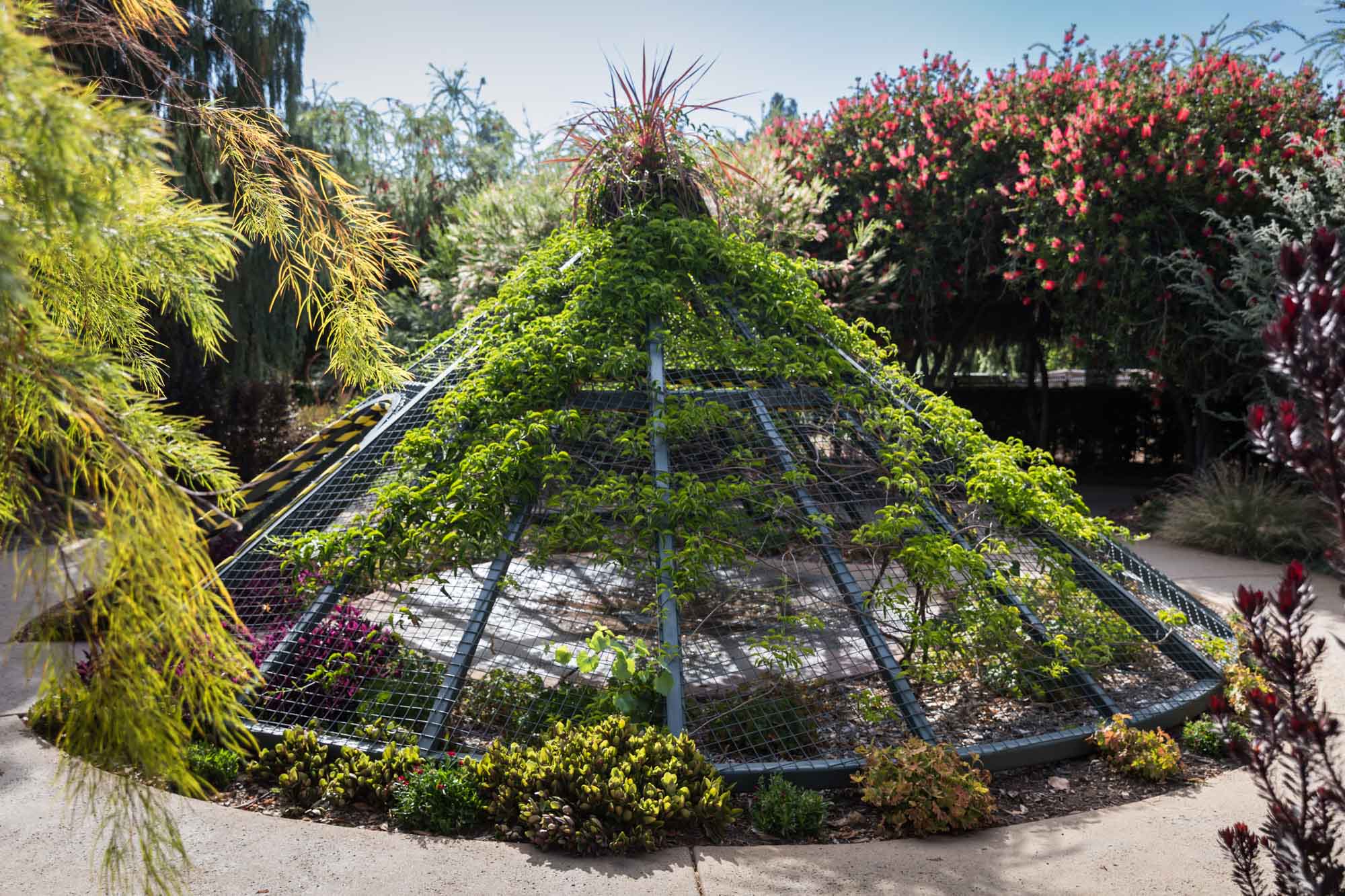 Teepee-shaped structure covered in vines in the Children's Garden for a Huntington Gardens photo shoot guide article