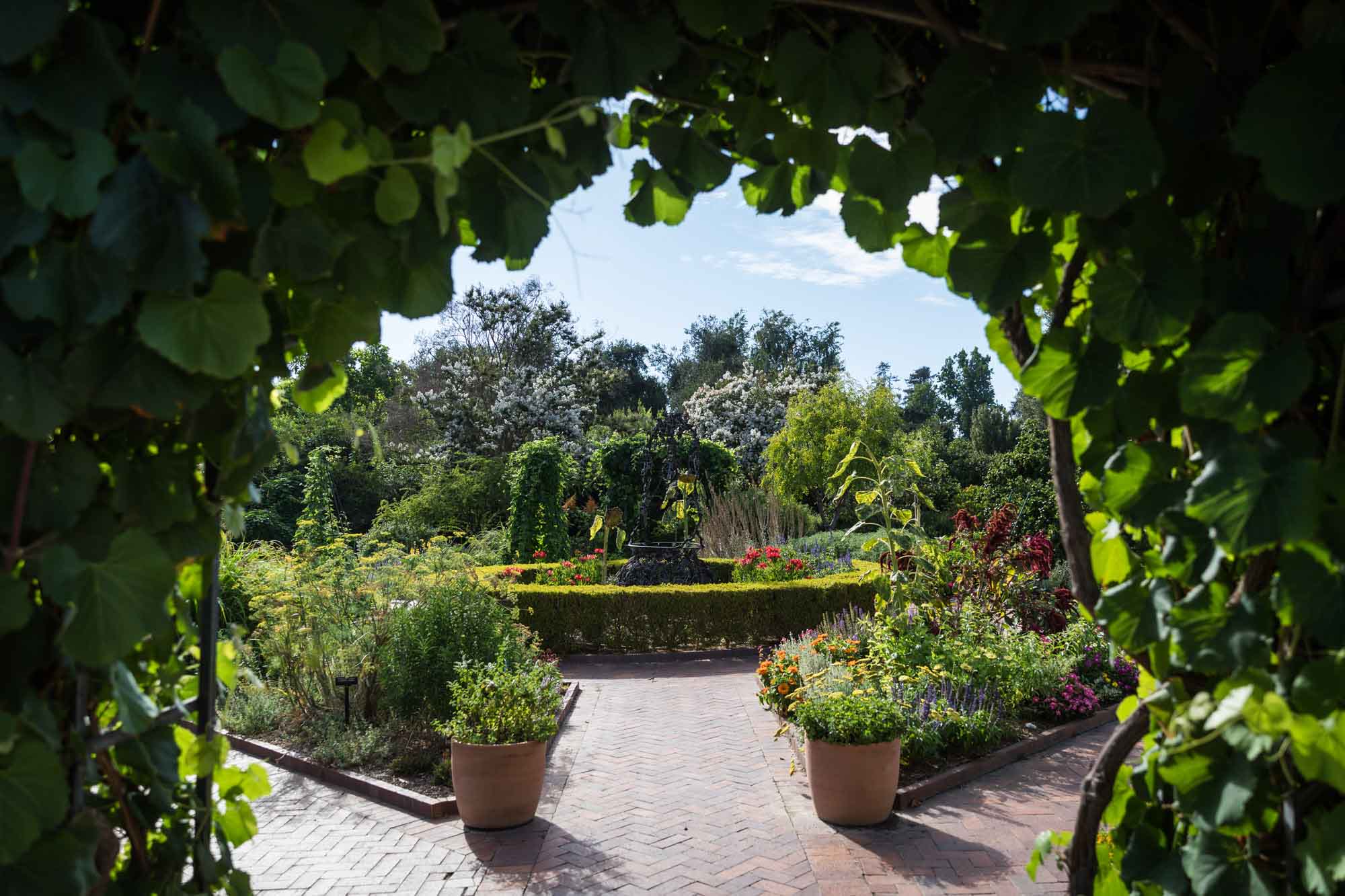 Archway covered in leaves leading to Herb Garden for a Huntington Gardens photo shoot guide article