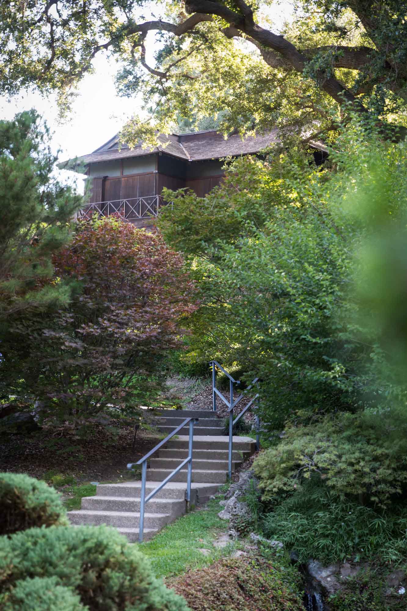 Stairs leading to Japanese-style wooden building in Japanese Garden for a Huntington Gardens photo shoot guide article