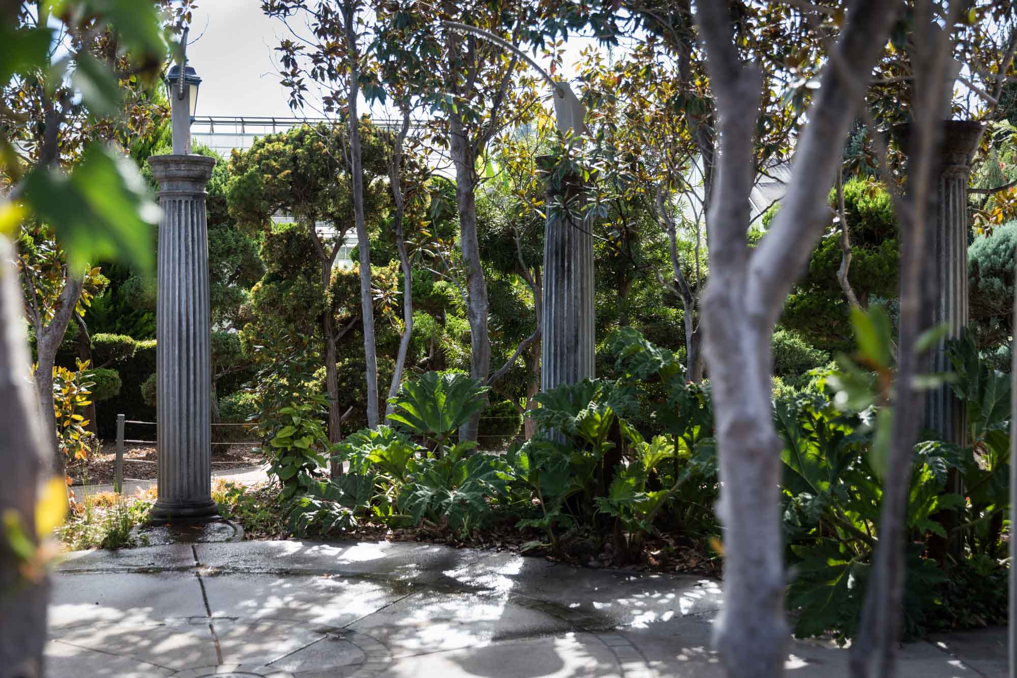 Stone columns, trees, and bushes surrounding stone patio in the Children's Garden for a Huntington Gardens photo shoot guide article
