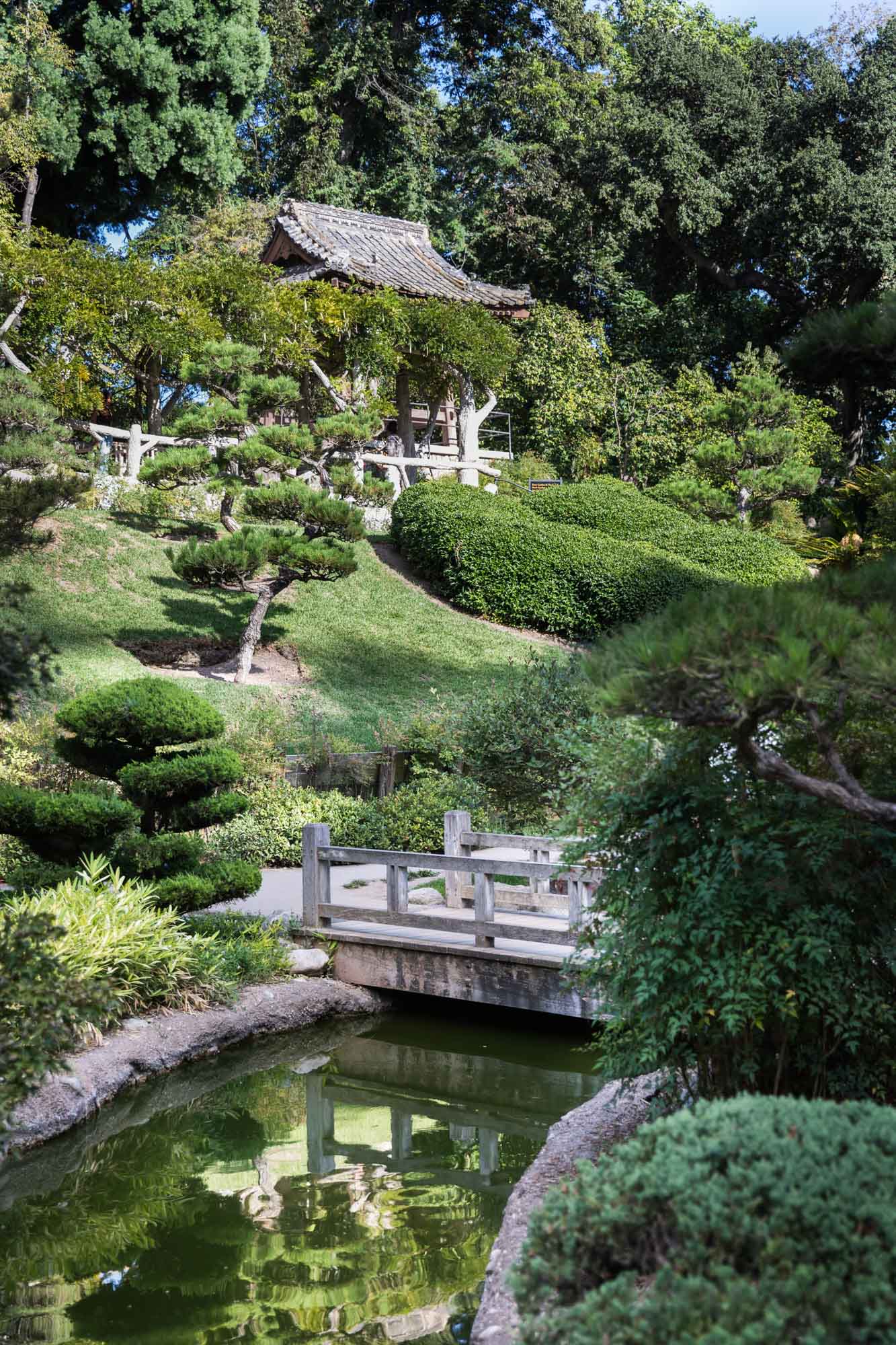 Stone bridge, lantern, and Asian-style building in Japanese Garden for a Huntington Gardens photo shoot guide article