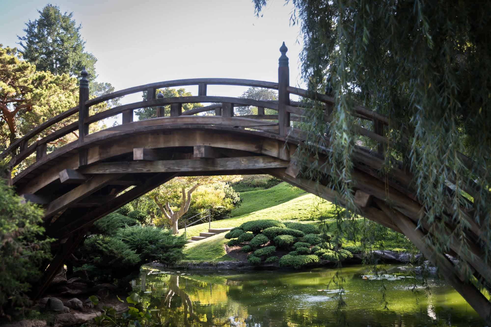 Large wooden bridge across pond in Japanese Garden for a Huntington Gardens photo shoot guide article