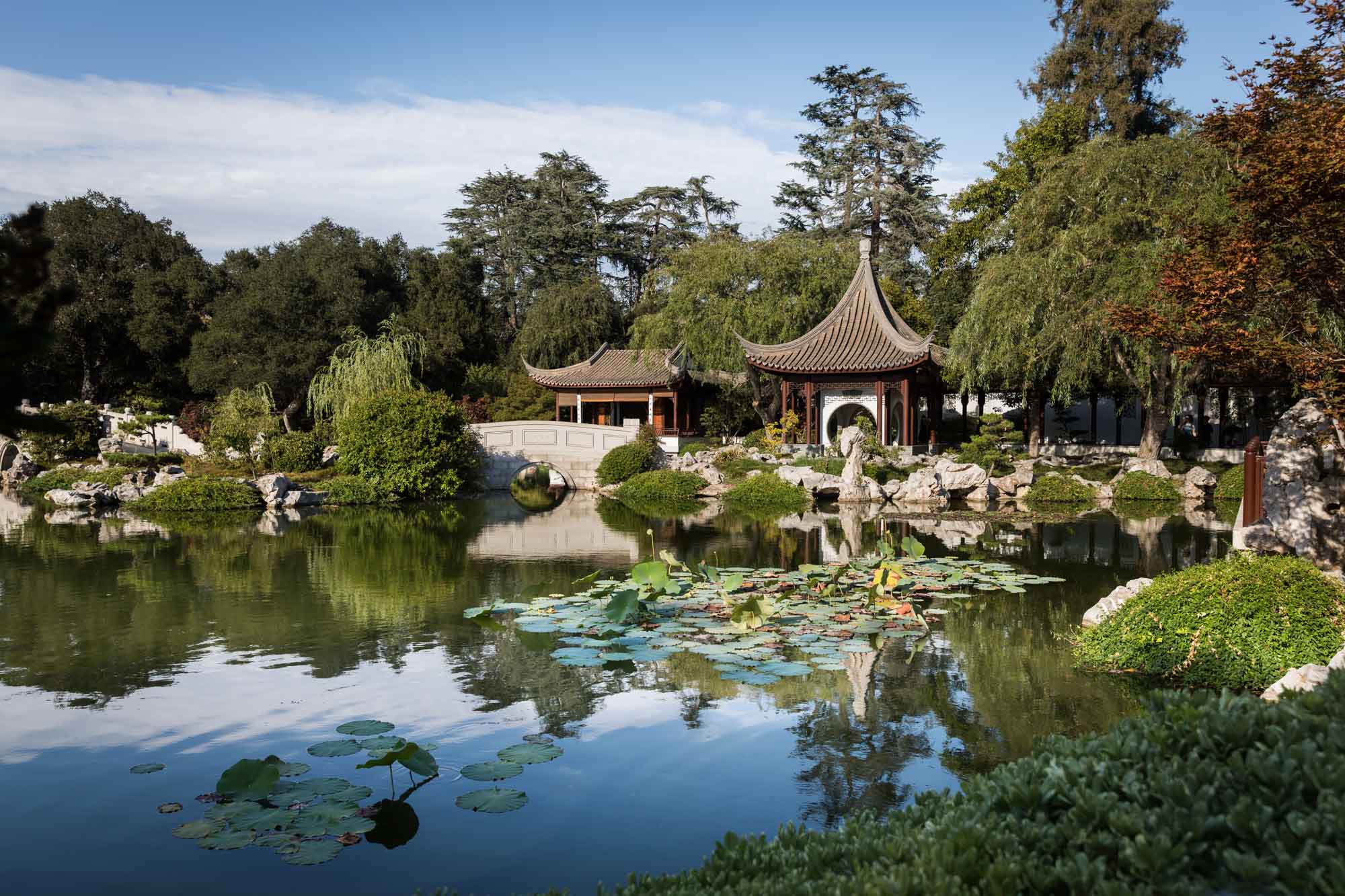 View over pond of ornate Asian-style buildings in Chinese Garden for a Huntington Gardens photo shoot guide article