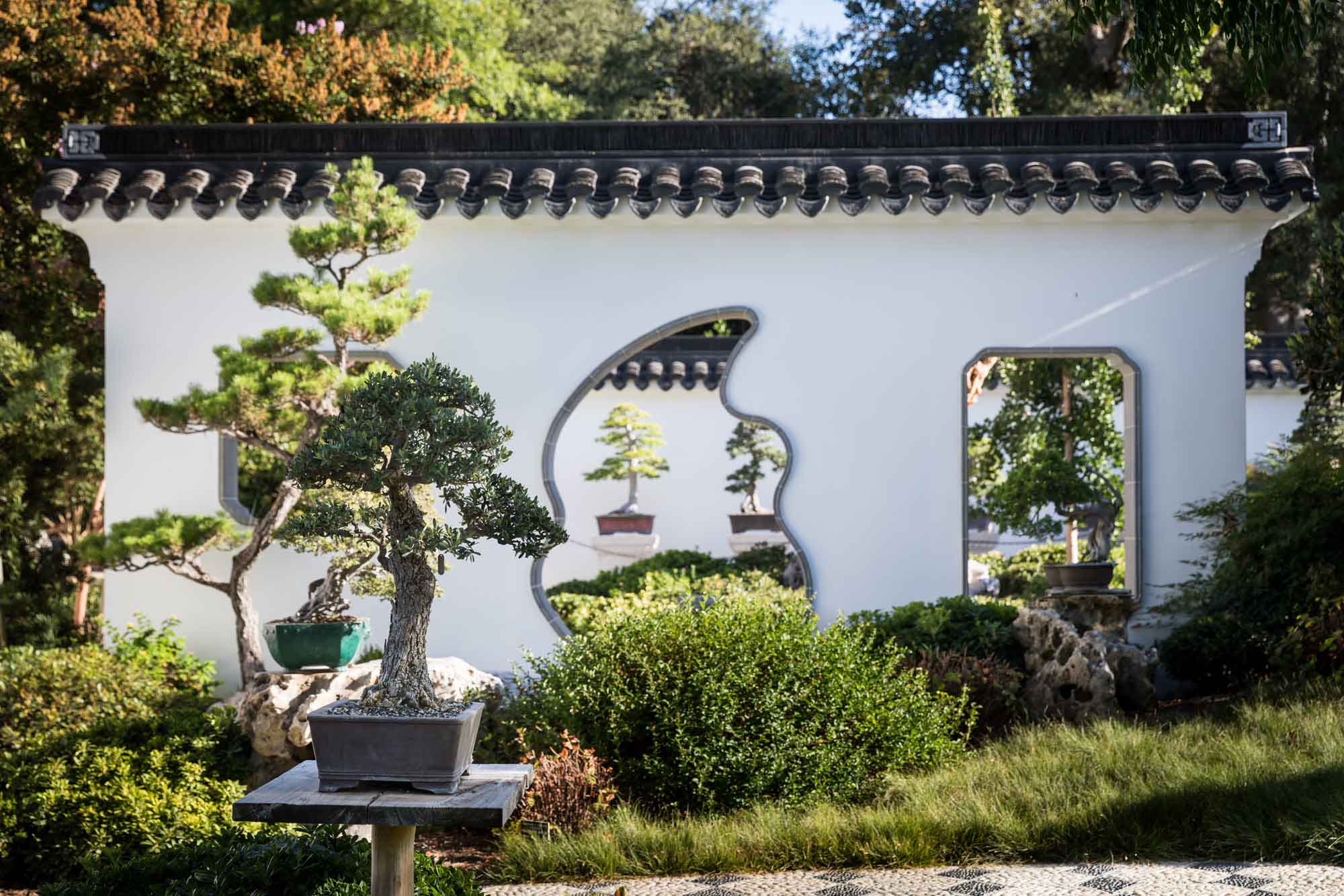 Topiary terrace in Chinese Garden for a Huntington Gardens photo shoot guide article