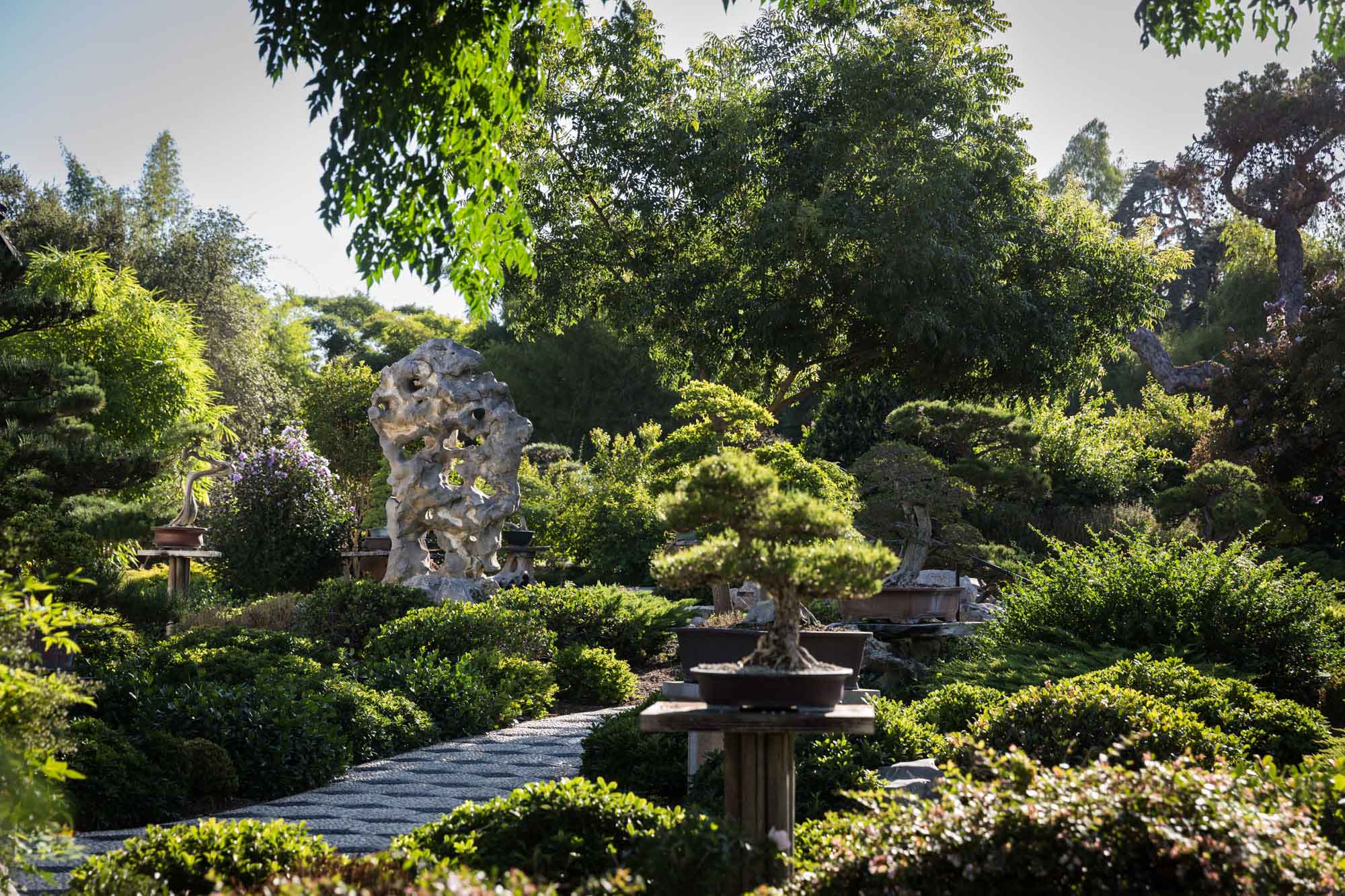 Topiary terrace in Chinese Garden for a Huntington Gardens photo shoot guide article