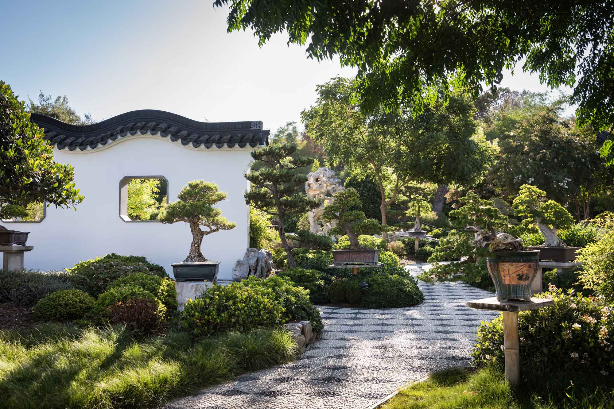 Topiary terrace in Chinese Garden for a Huntington Gardens photo shoot guide article