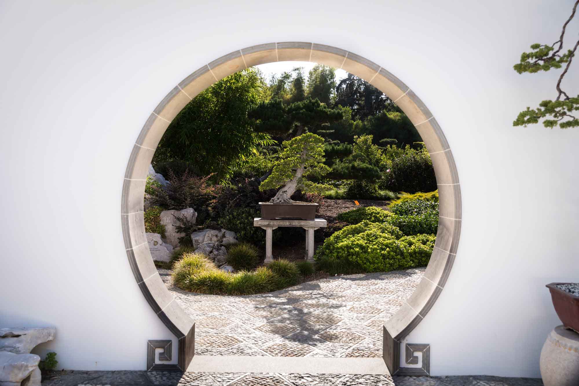 View through round door in white wall of topiary terrace in Chinese Garden for a Huntington Gardens photo shoot guide article