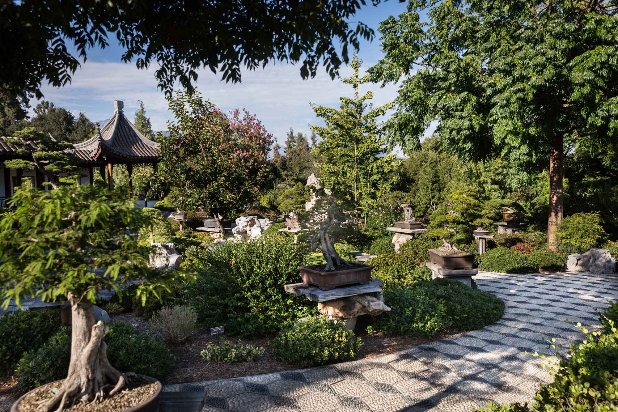 Topiary terrace in Chinese Garden for a Huntington Gardens photo shoot guide article