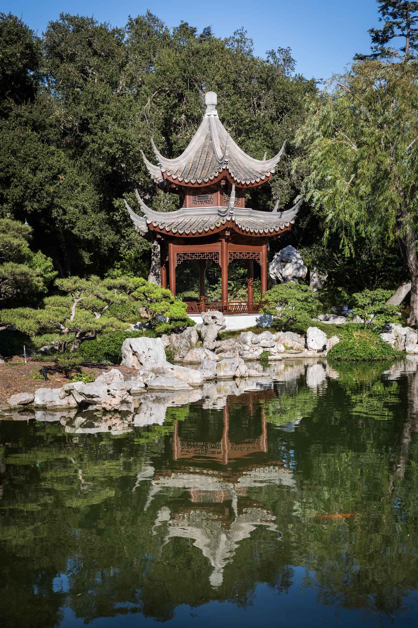 Asian-style building with pitched roof on side of pond in Chinese Garden for a Huntington Gardens photo shoot guide article