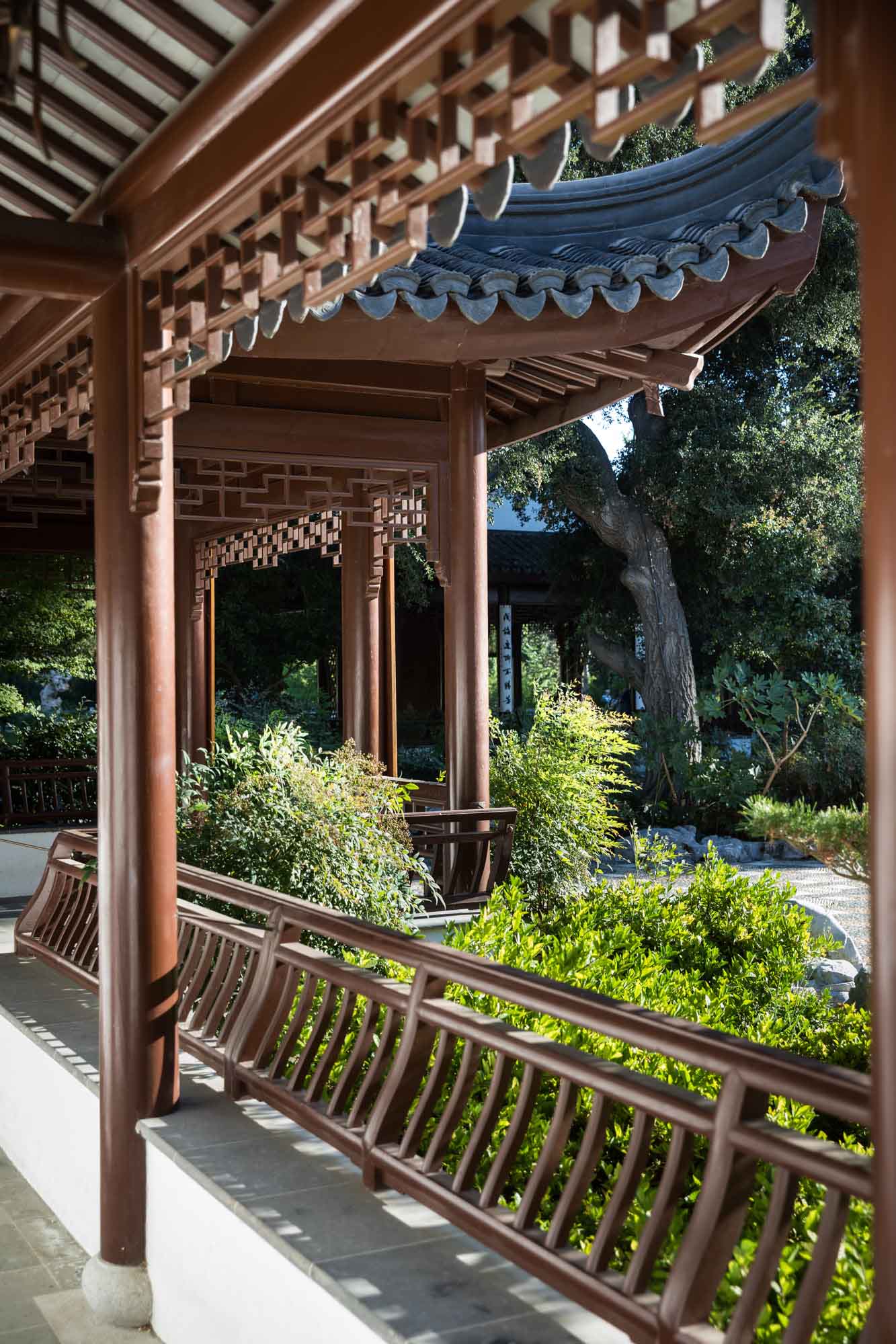 View down pathway with wooden scaffolding overhead in Chinese Garden for a Huntington Gardens photo shoot guide article