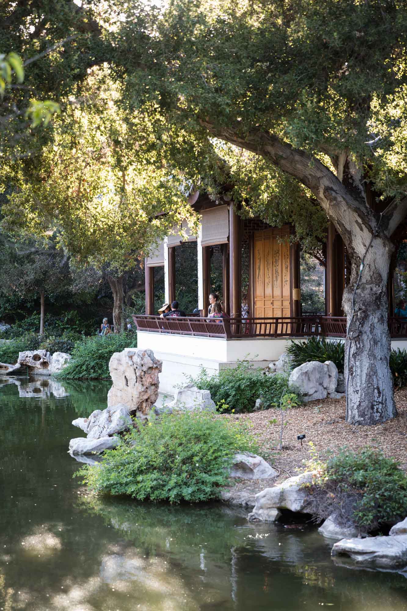 Asian-style building on side of pond in Chinese Garden for a Huntington Gardens photo shoot guide article