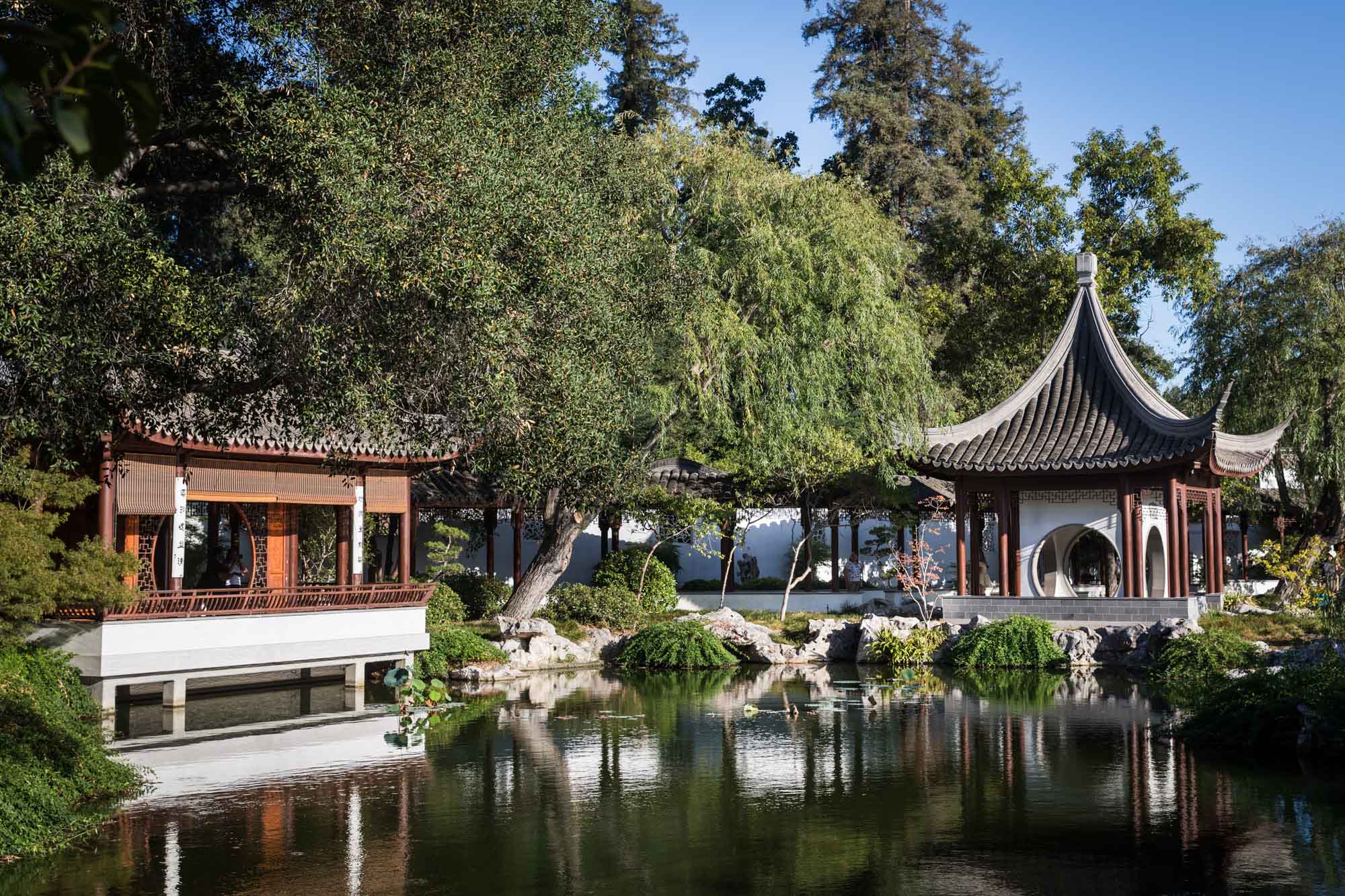 Asian-style buildings with pitched roofs on side of pond in Chinese Garden for a Huntington Gardens photo shoot guide article