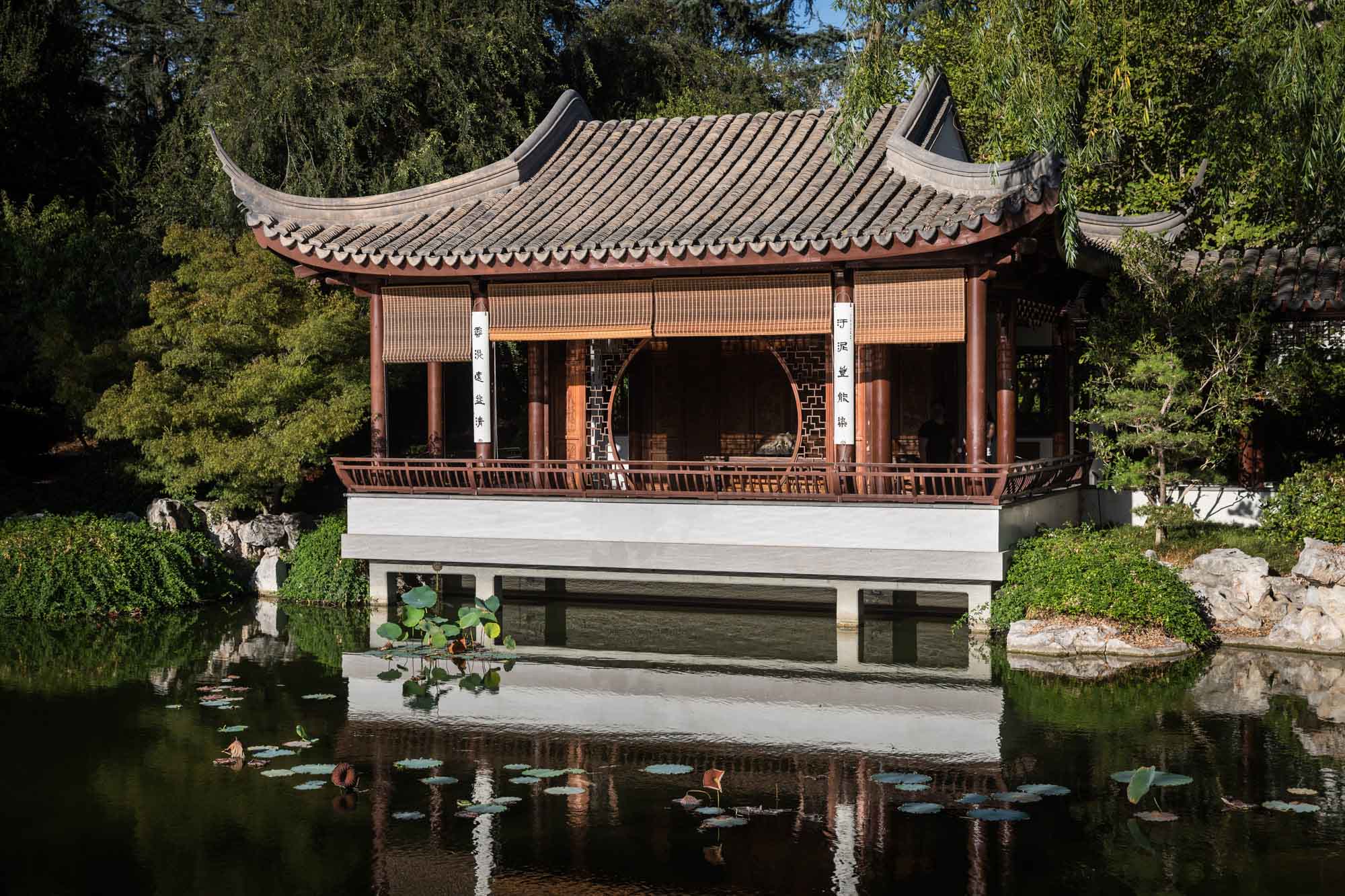 Asian-style building with pitched roof on side of pond in Chinese Garden for a Huntington Gardens photo shoot guide article