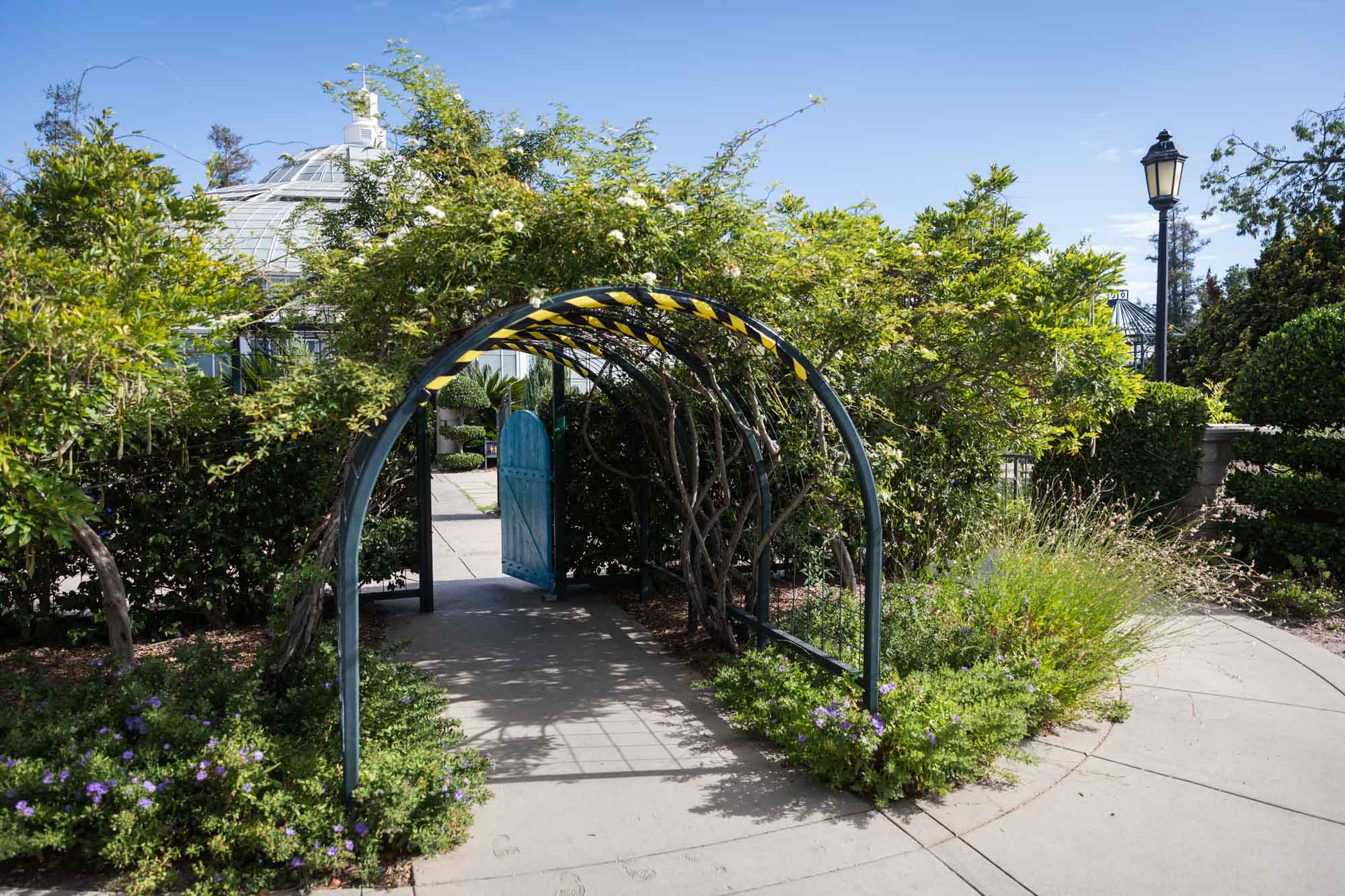 Entrance through plant-covered archway leading to blue door in the Children's Garden for a Huntington Gardens photo shoot guide article