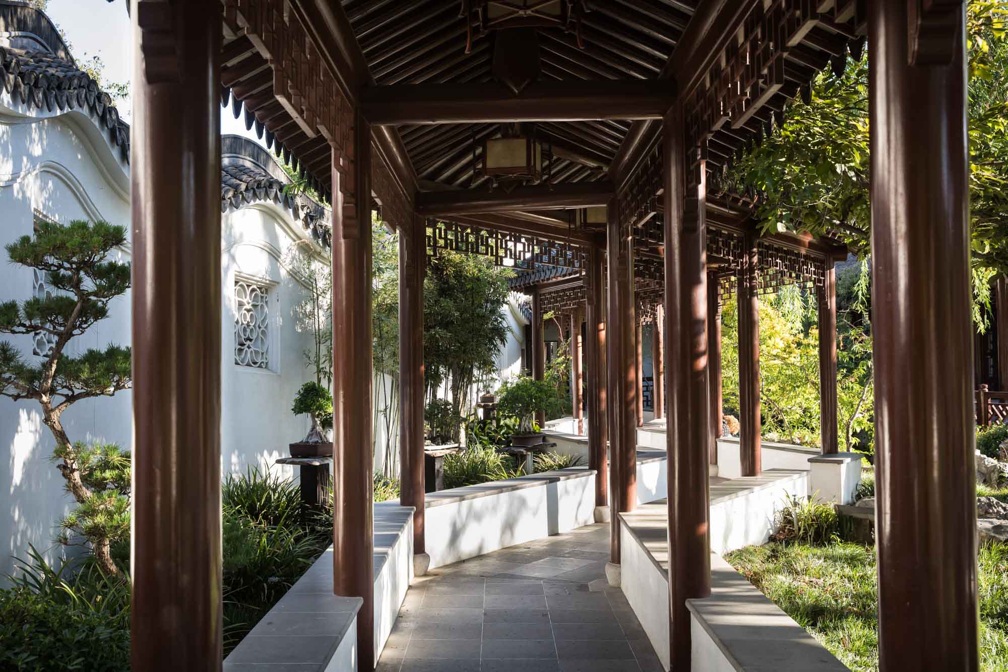 View down pathway with wooden scaffolding overhead in Chinese Garden for a Huntington Gardens photo shoot guide article