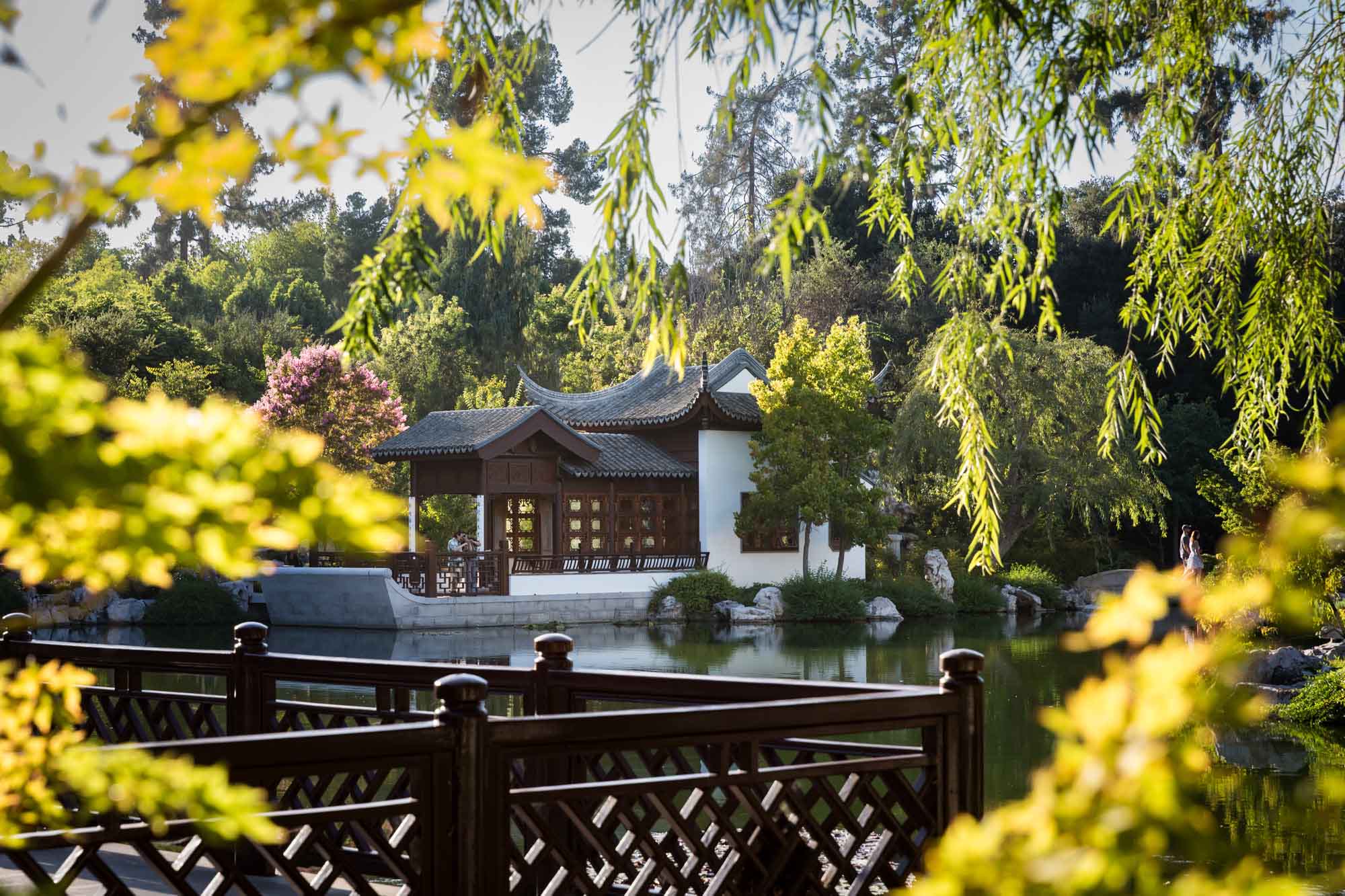 Ornate Asian-style buildings surrounded by yellow-leaf trees in Chinese Garden for a Huntington Gardens photo shoot guide article
