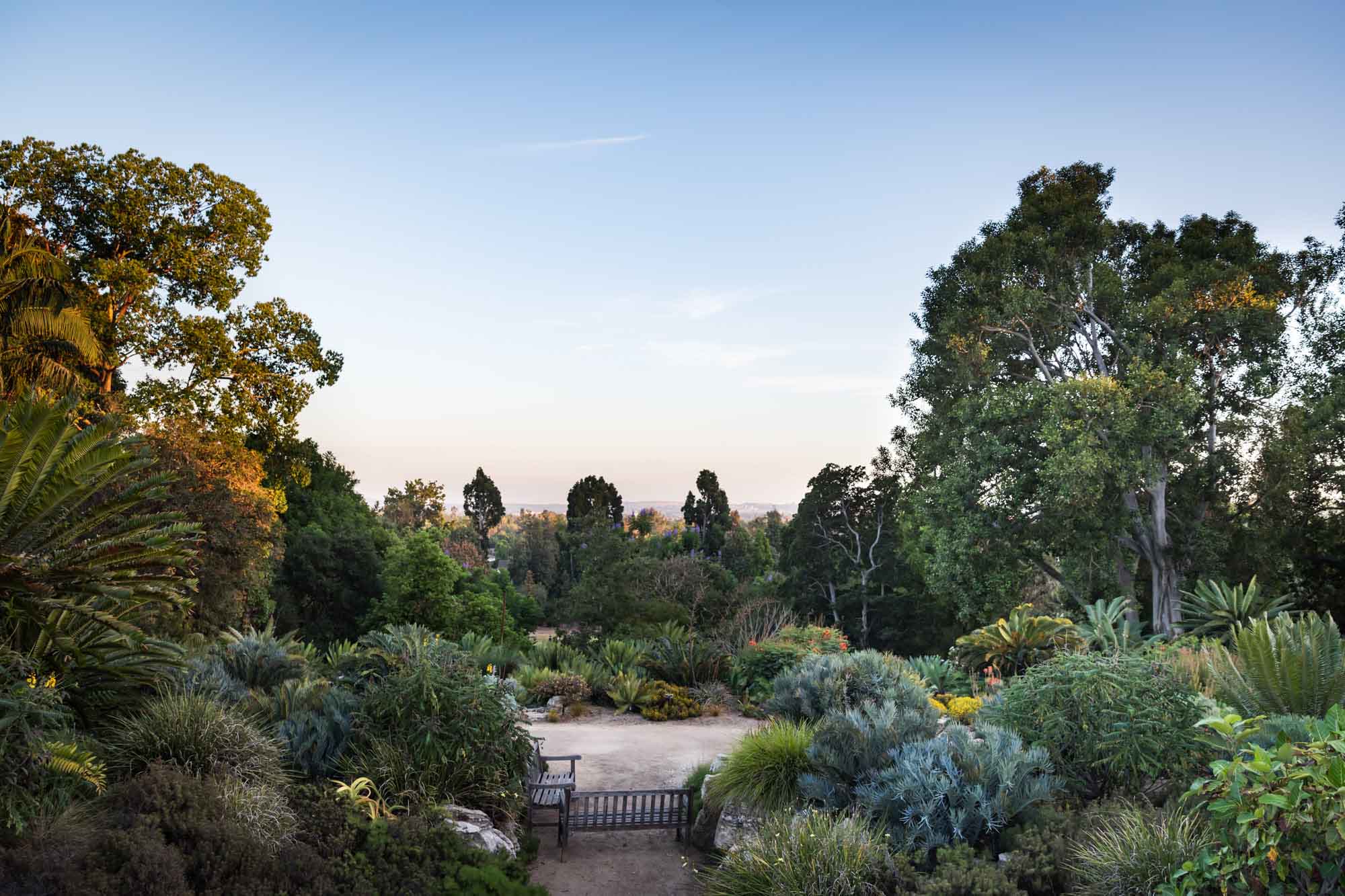 View from Huntington Art Gallery building of wooden bench, gardens below, and mountains in background for a Huntington Gardens photo shoot guide article