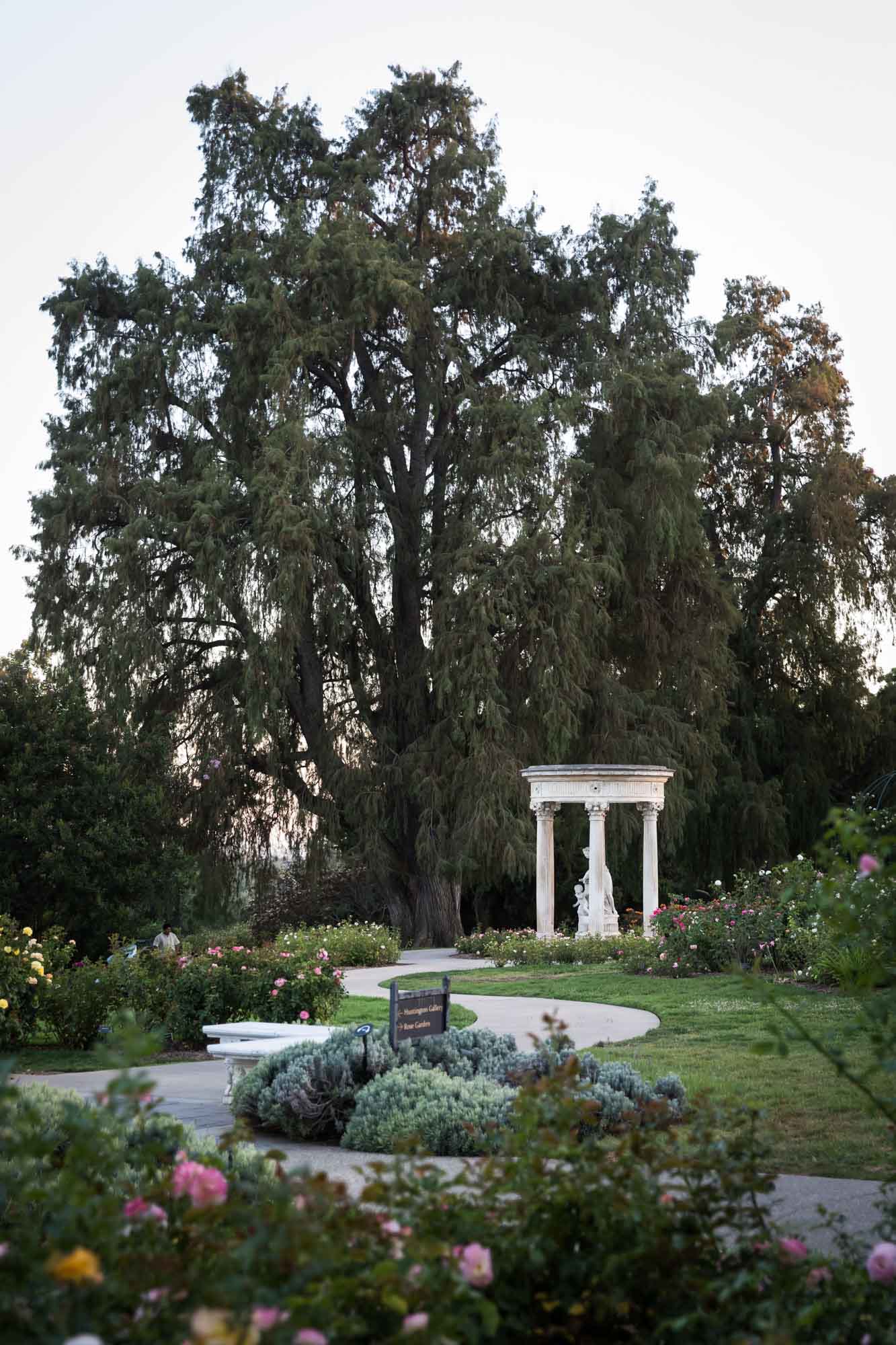 Visitors walking around the Rose Garden and stone sculpture for a Huntington Gardens photo shoot guide article