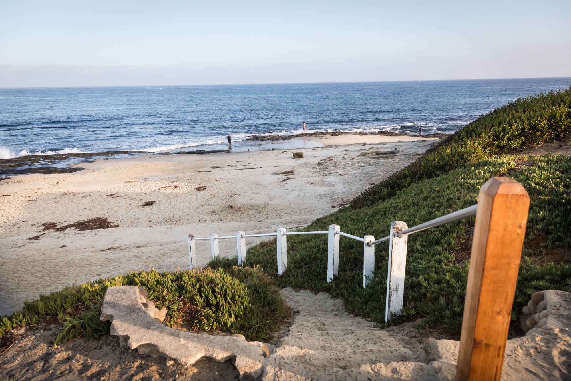 Stairs with white railing down to the beach with succulents along the side of the embankment for an article on La Jolla Cove family photos