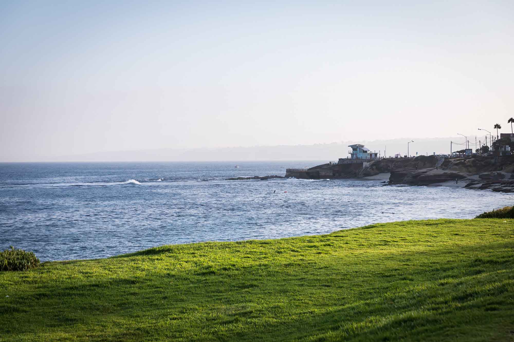 View of grass from the Wedding Bowl of the ocean with the Children's Pool in the distance for an article on La Jolla Cove family photos