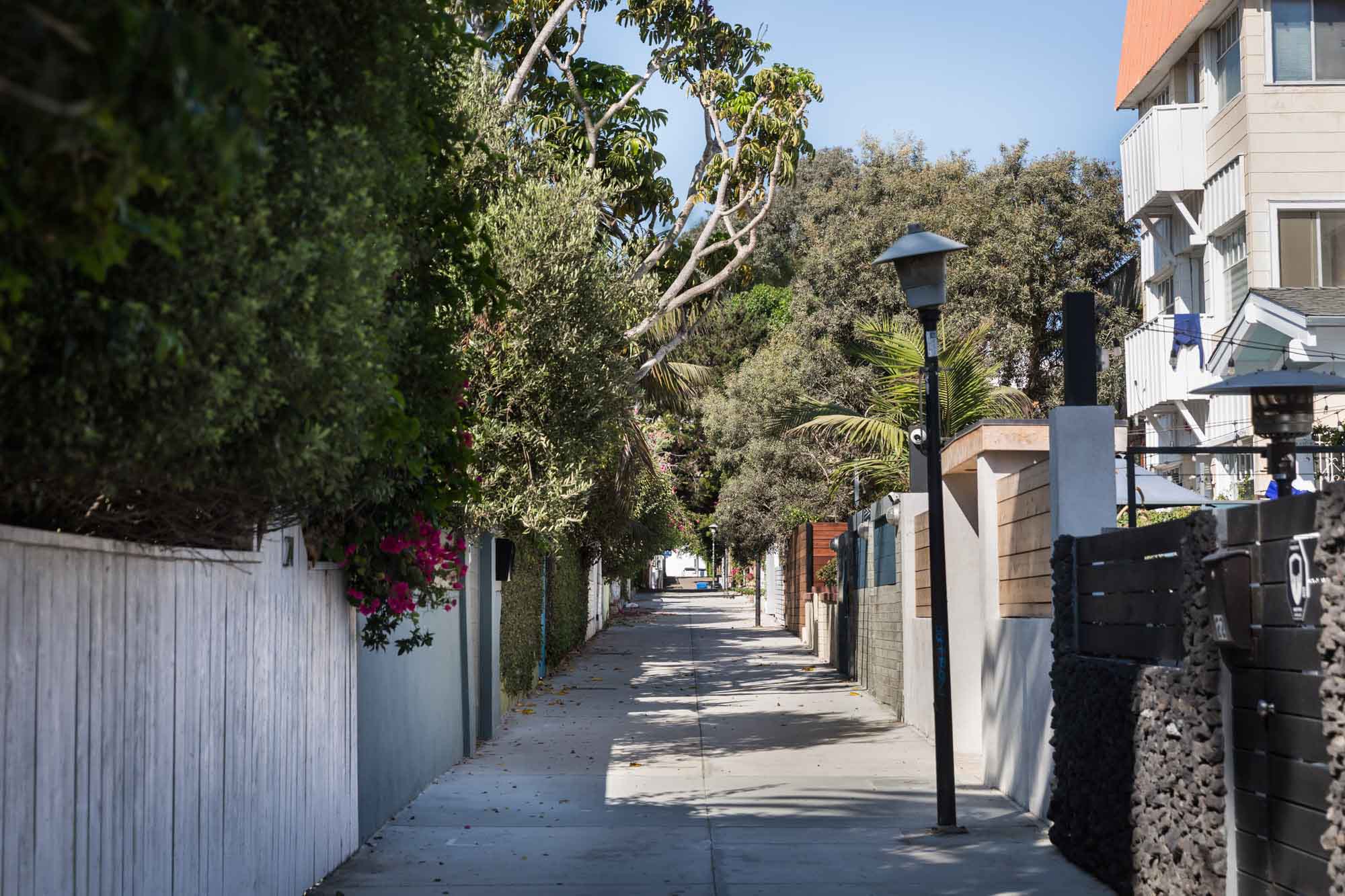 Dudley Avenue with trees, fences, a house, and a lamp post on either side of the street for an article on Venice Canals engagement photos