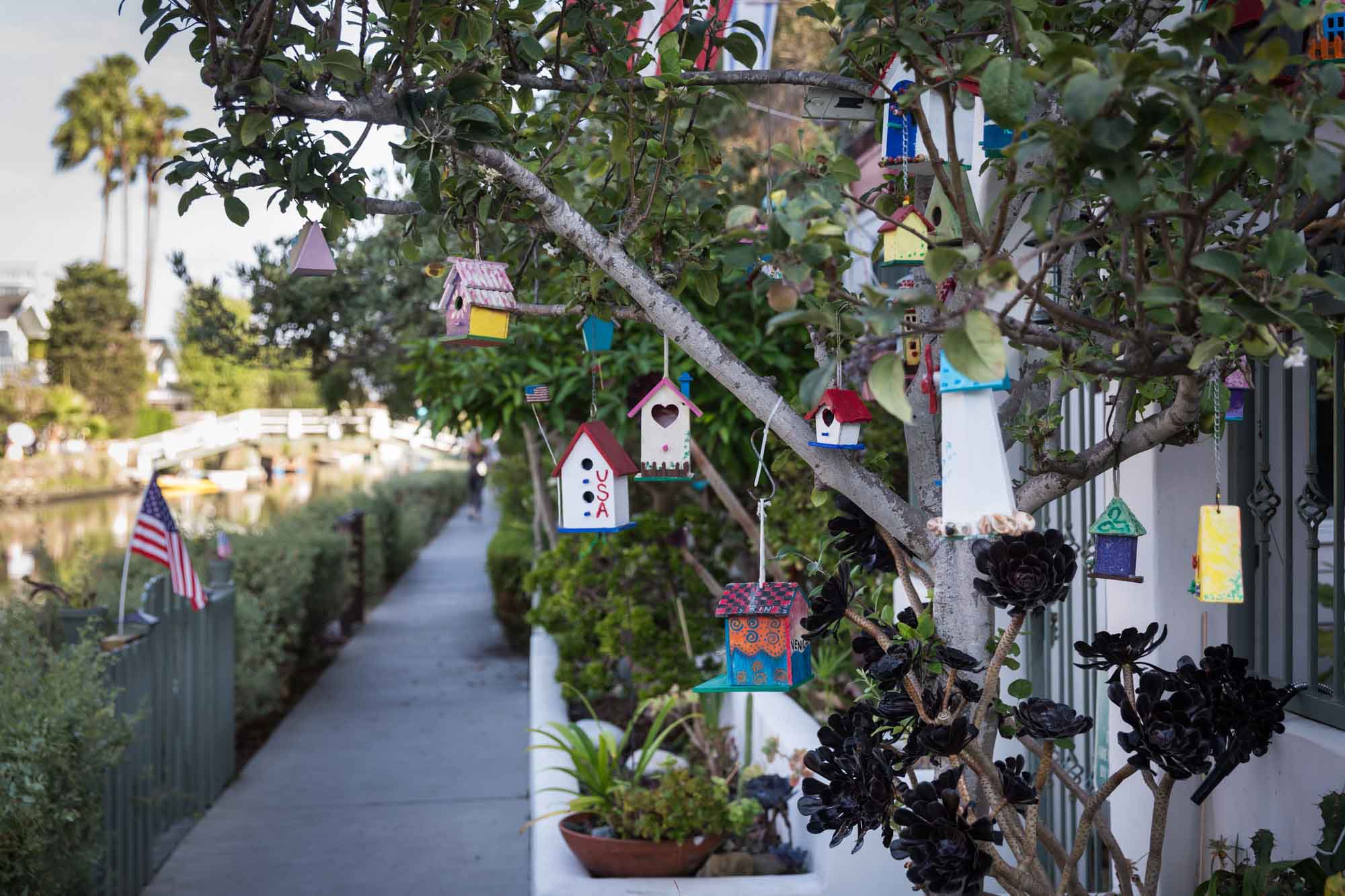 Tree filled with colorful bird houses and an American flag on the left for an article on Venice Canals engagement photos