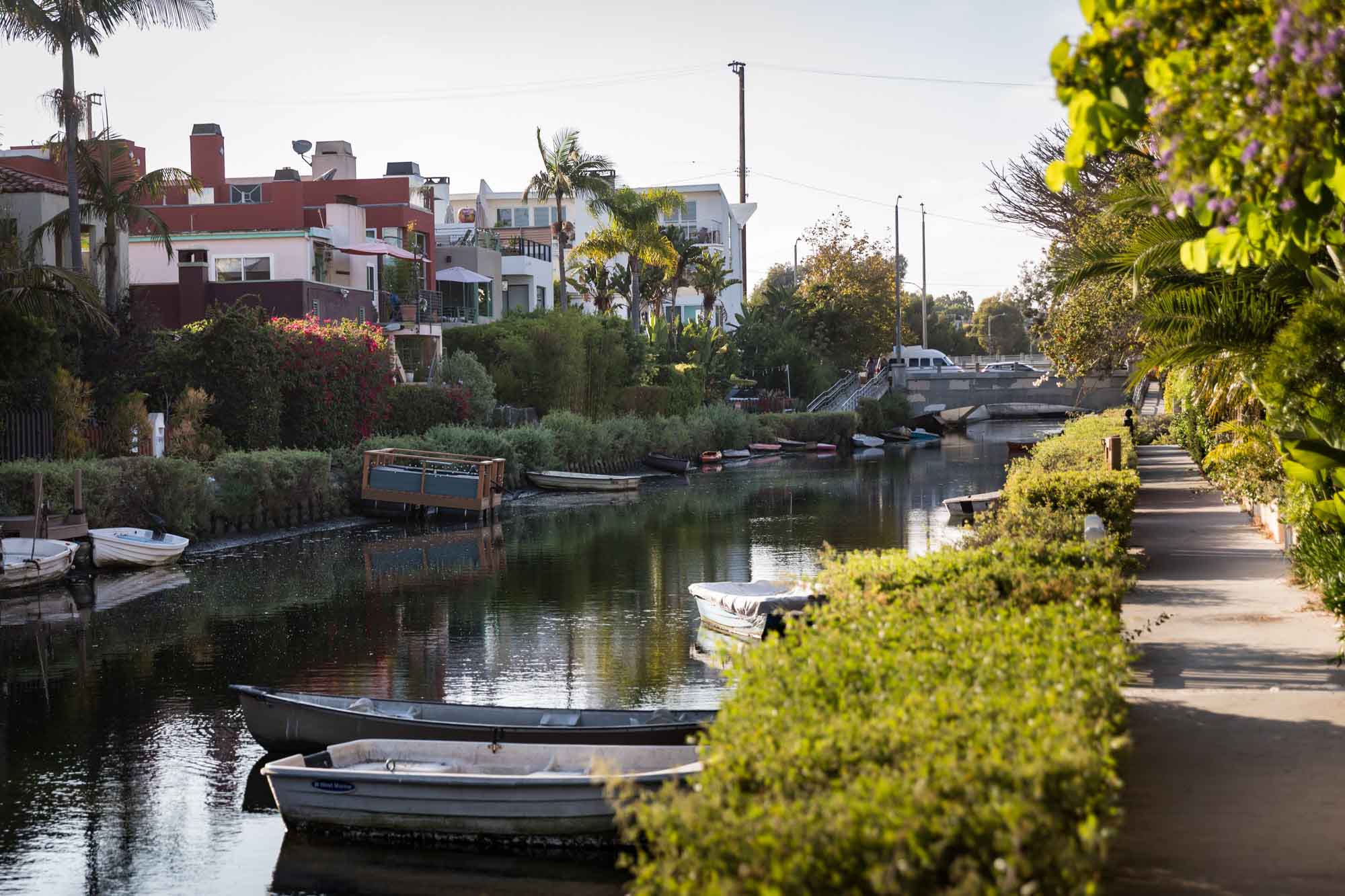 Multiple houses lining the Venice Canal with trees and rowboats for an article on Venice Canals engagement photos