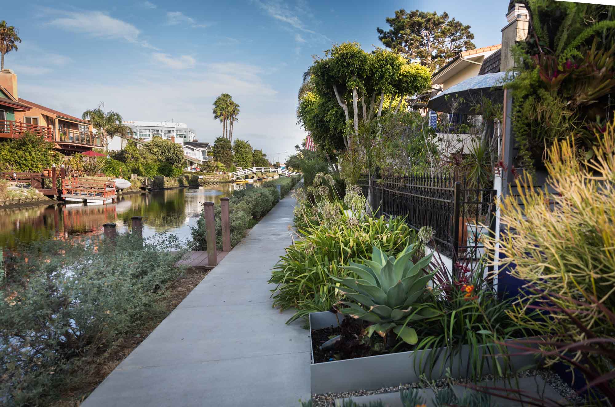 White footbridge over a canal with boats, trees, and small docks on the side along the Venice Canals in Los Angeles for an article on Venice Canals engagement photos